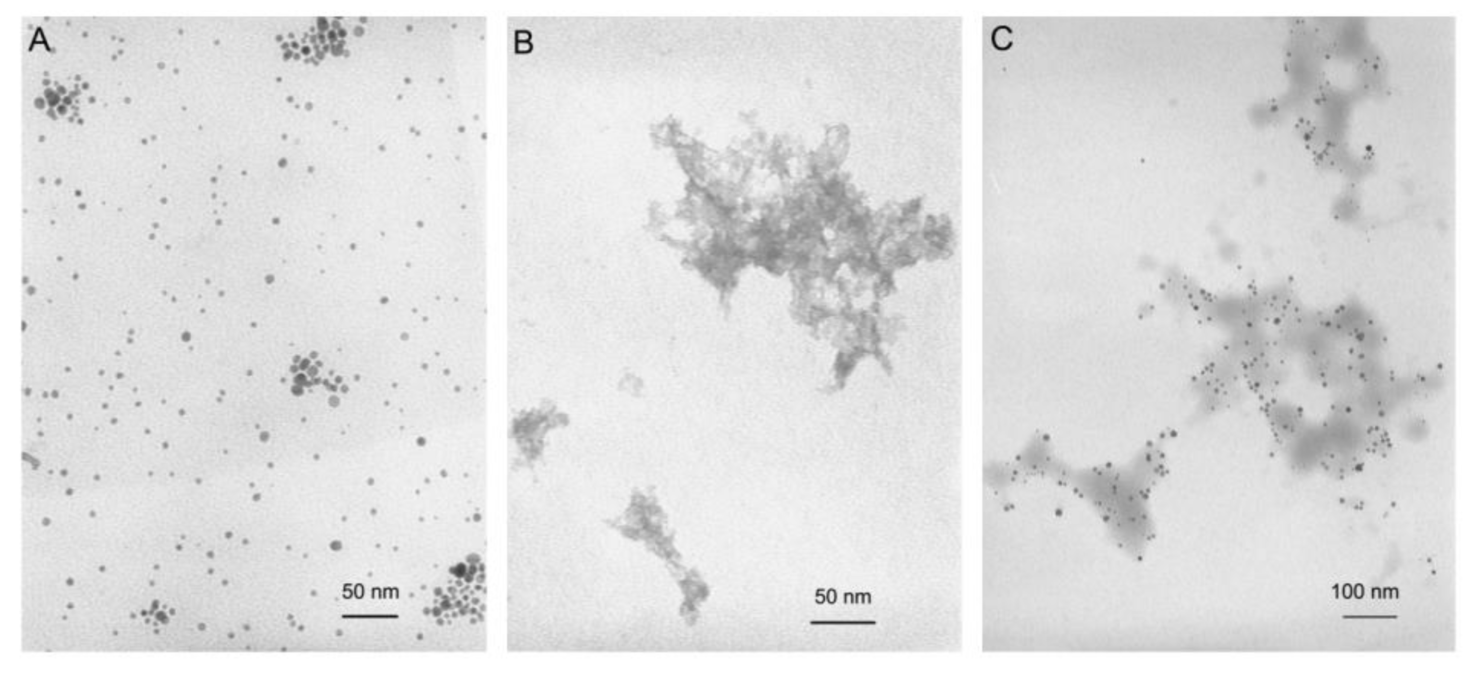 Ijms 21 04647 g006 Ijms 21 04647 g006