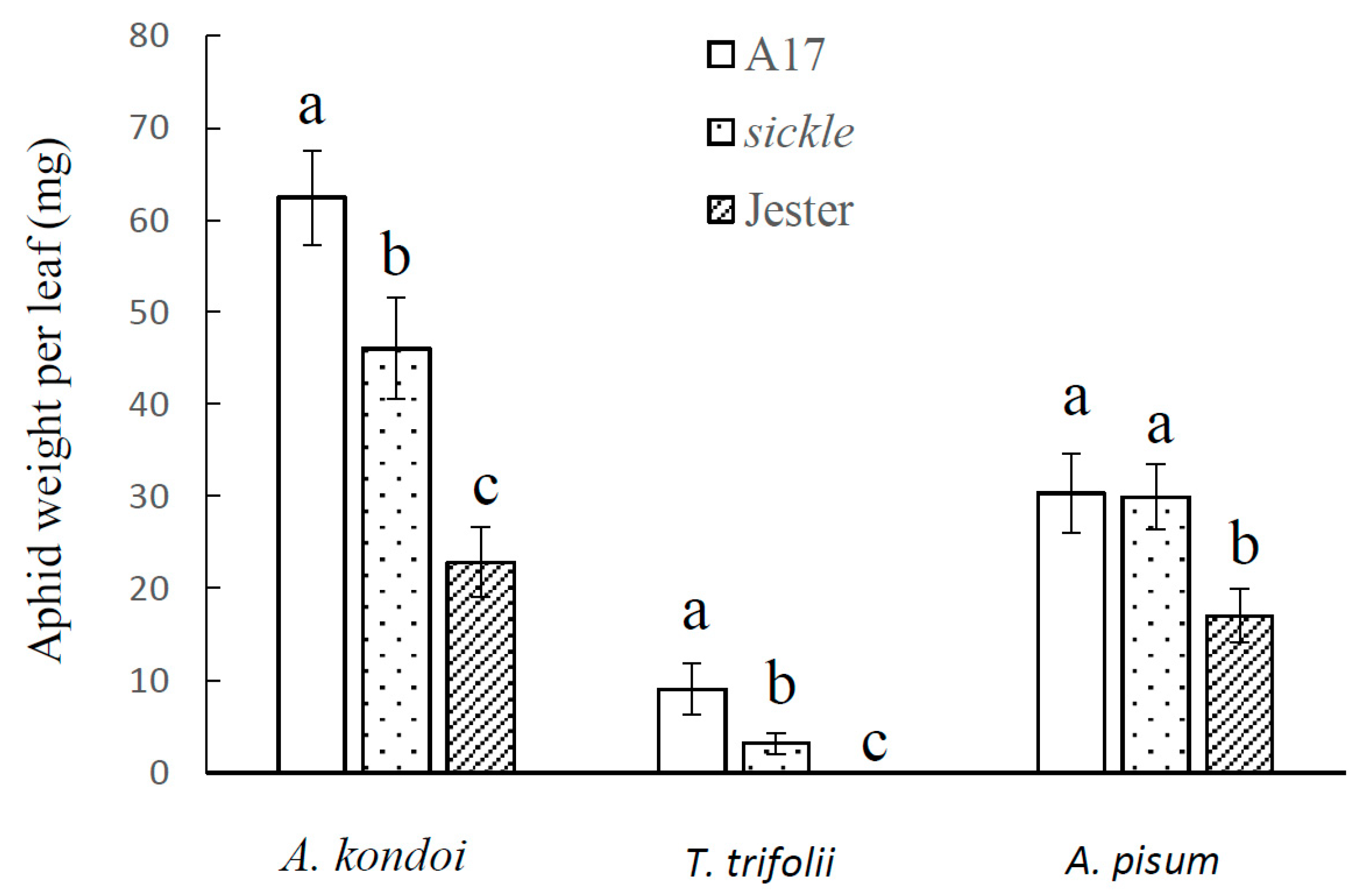 Ijms 21 04657 g001 Ijms 21 04657 g001
