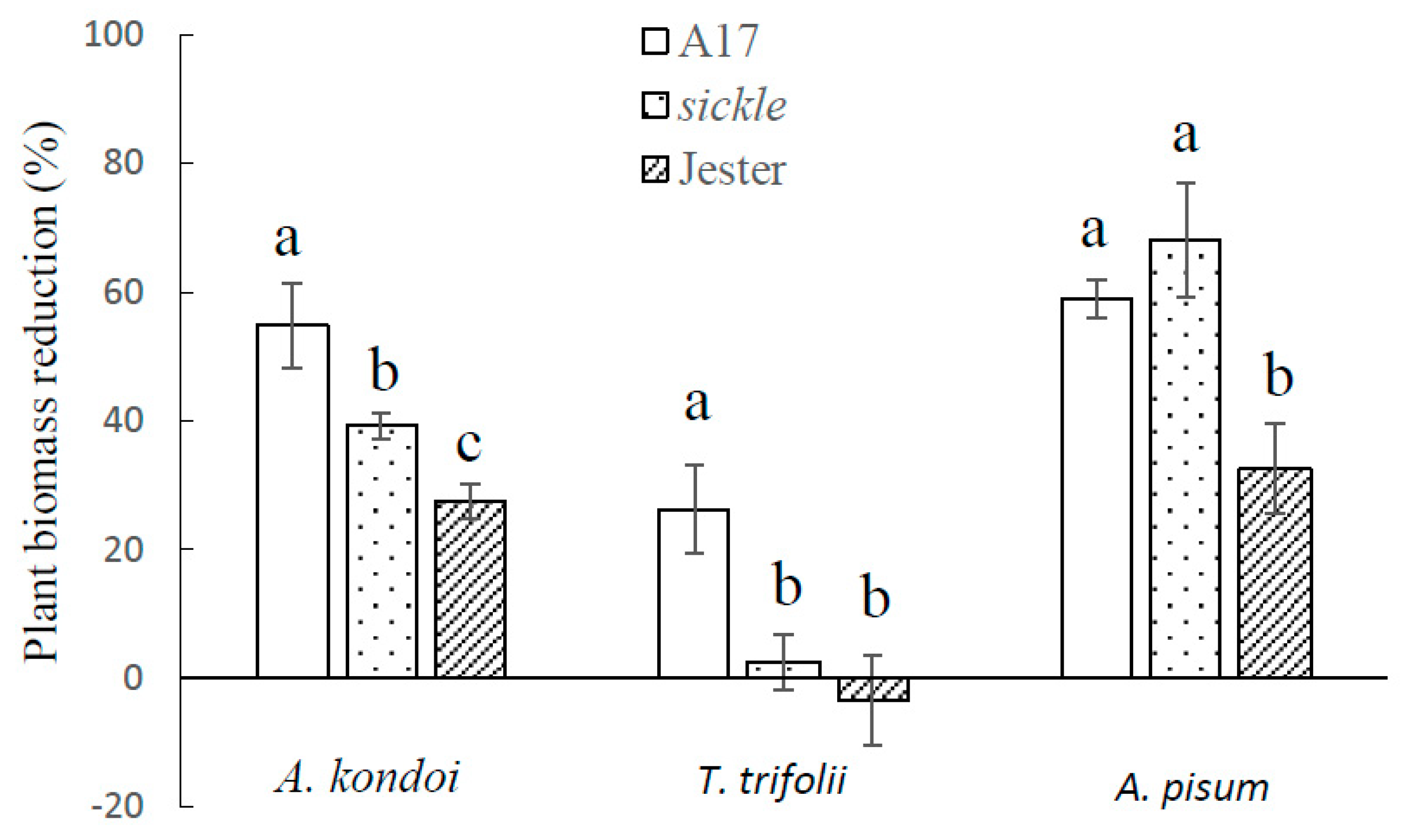 Ijms 21 04657 g005 Ijms 21 04657 g005