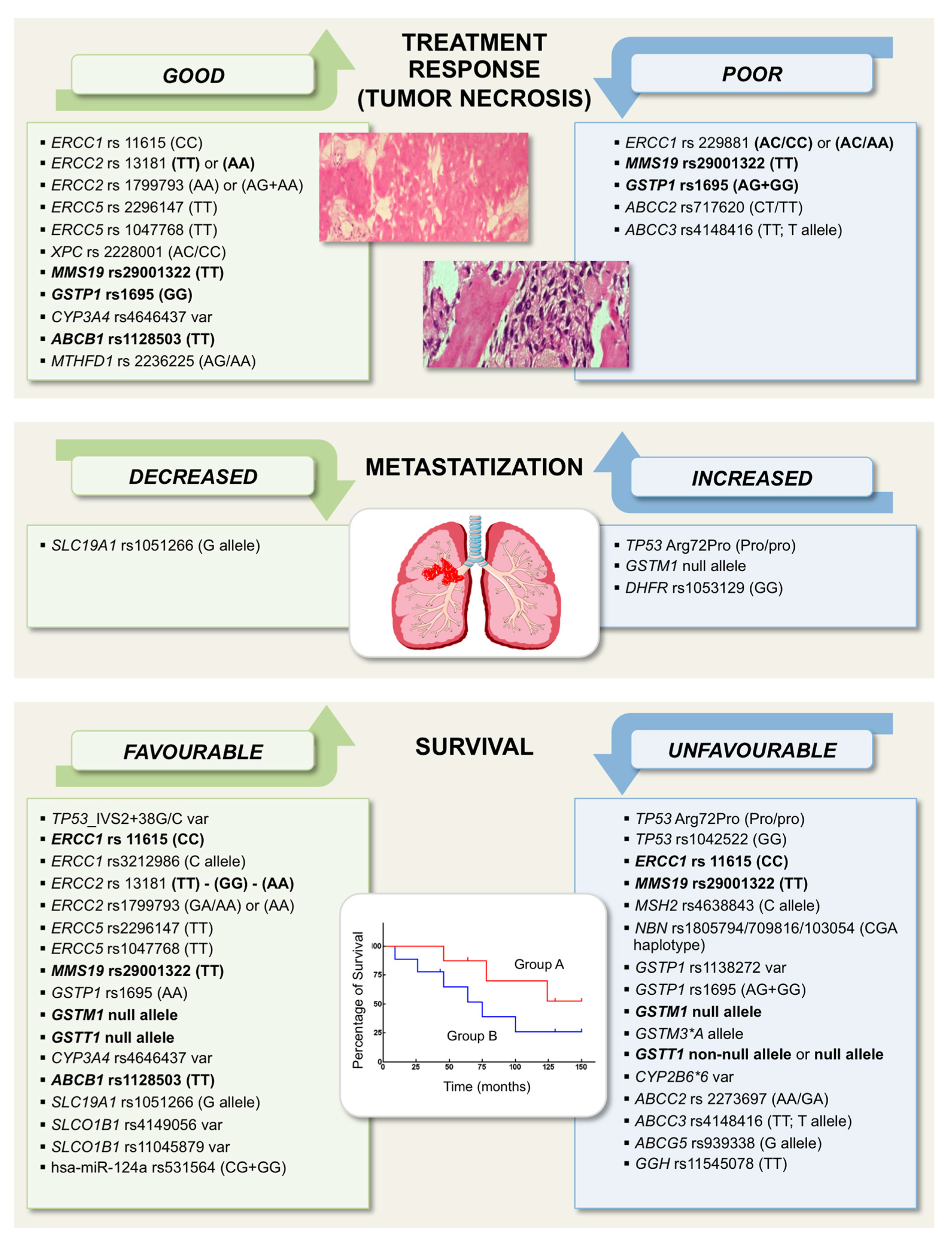 Ijms 21 04659 g001 Ijms 21 04659 g001