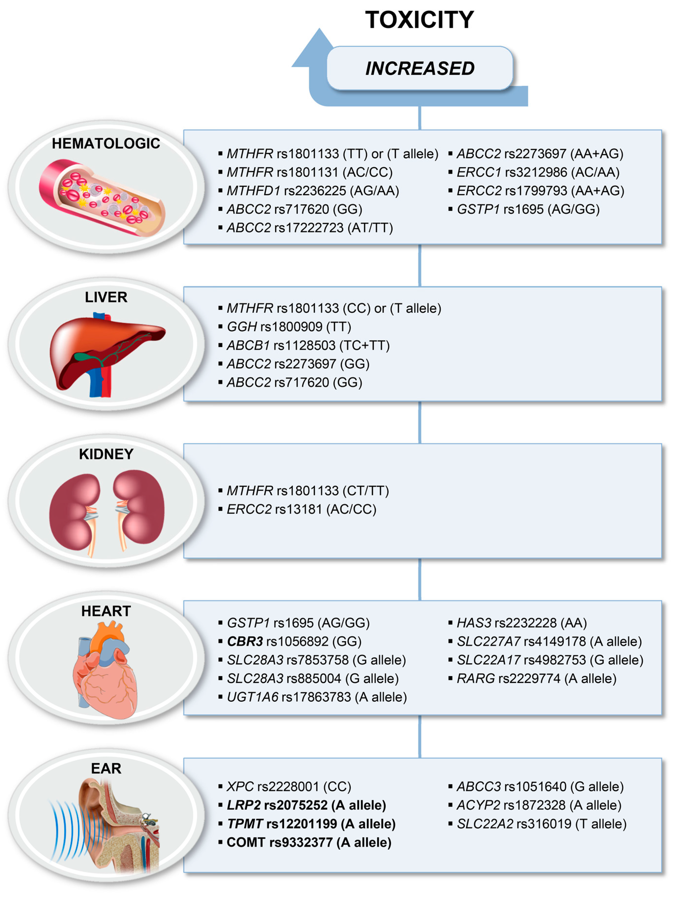 Ijms 21 04659 g002 Ijms 21 04659 g002