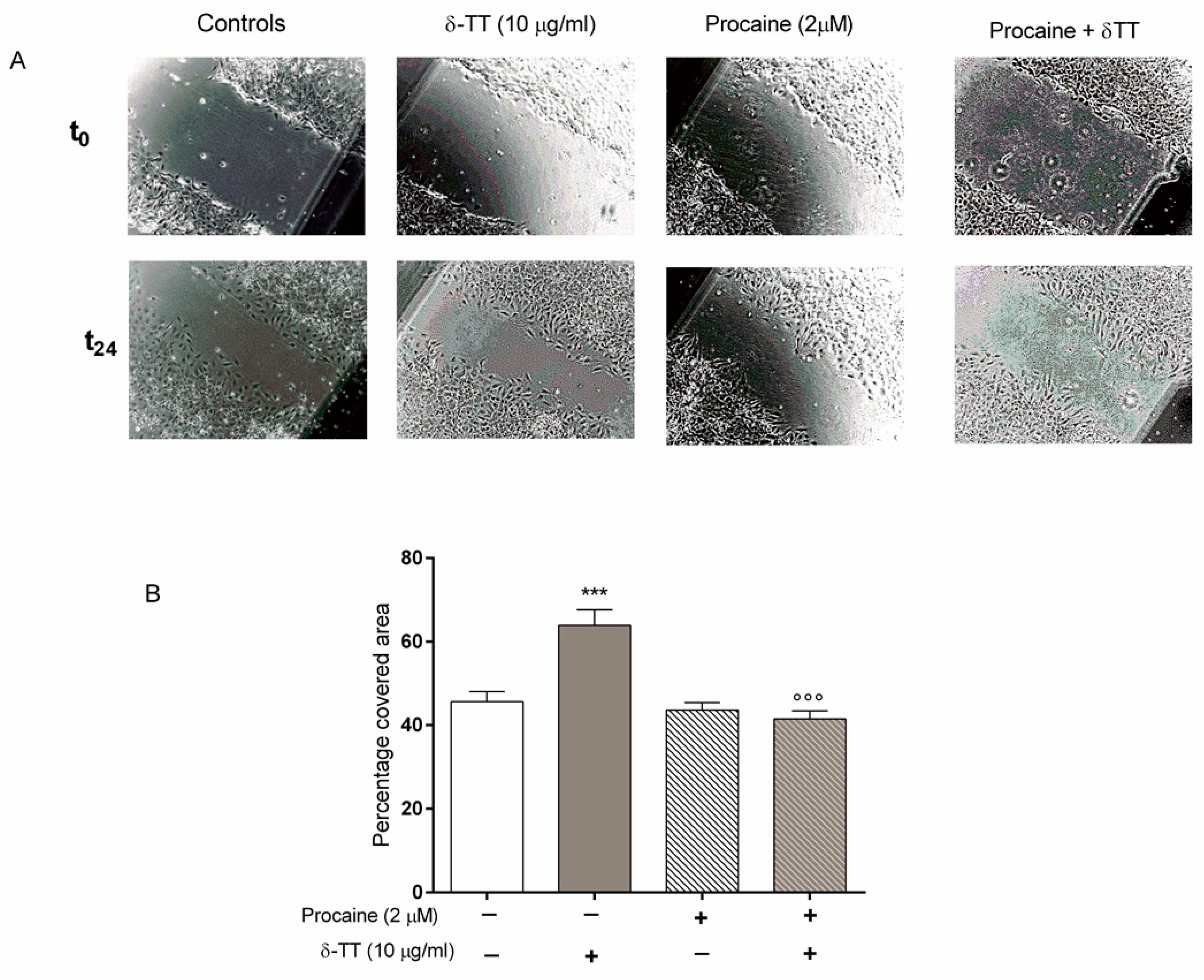 Ijms 21 04661 g007 Ijms 21 04661 g007