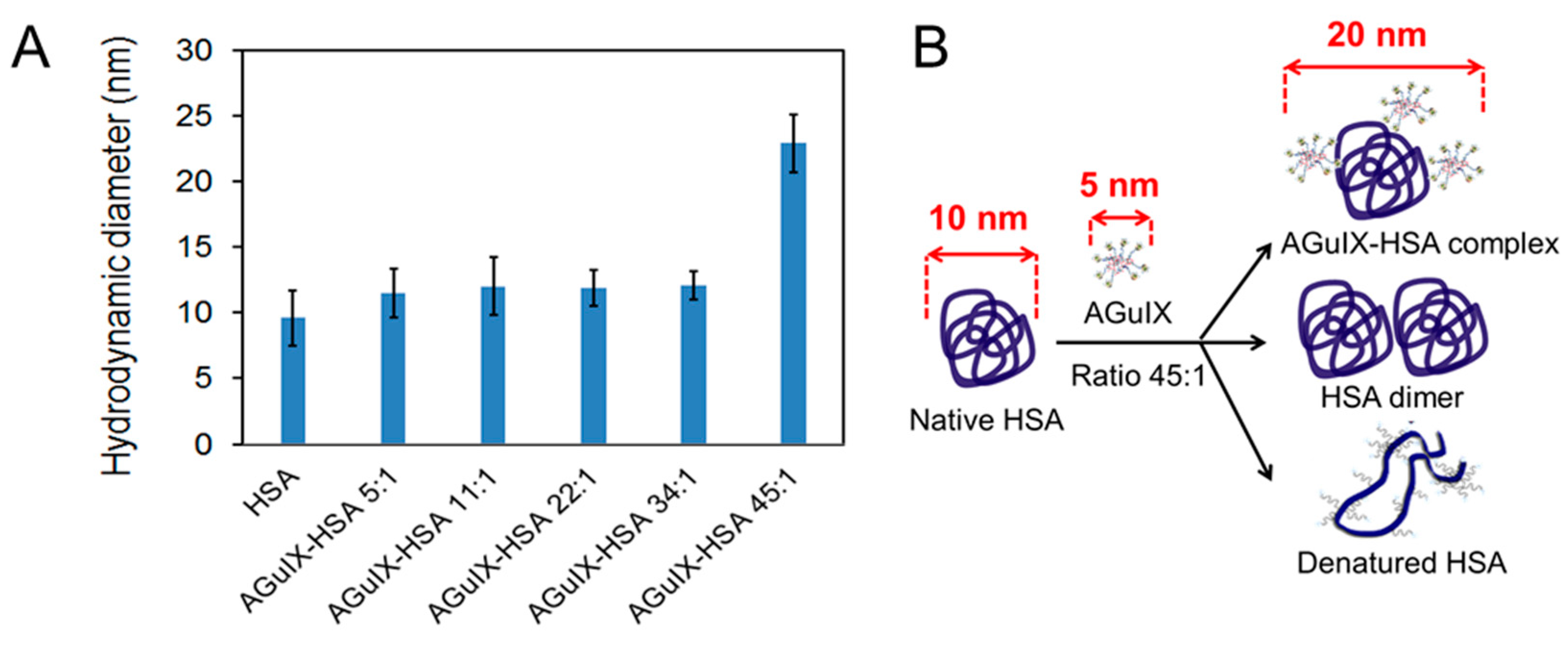 IJMS Free FullText Human Serum Albumin in the Presence of AGuIX