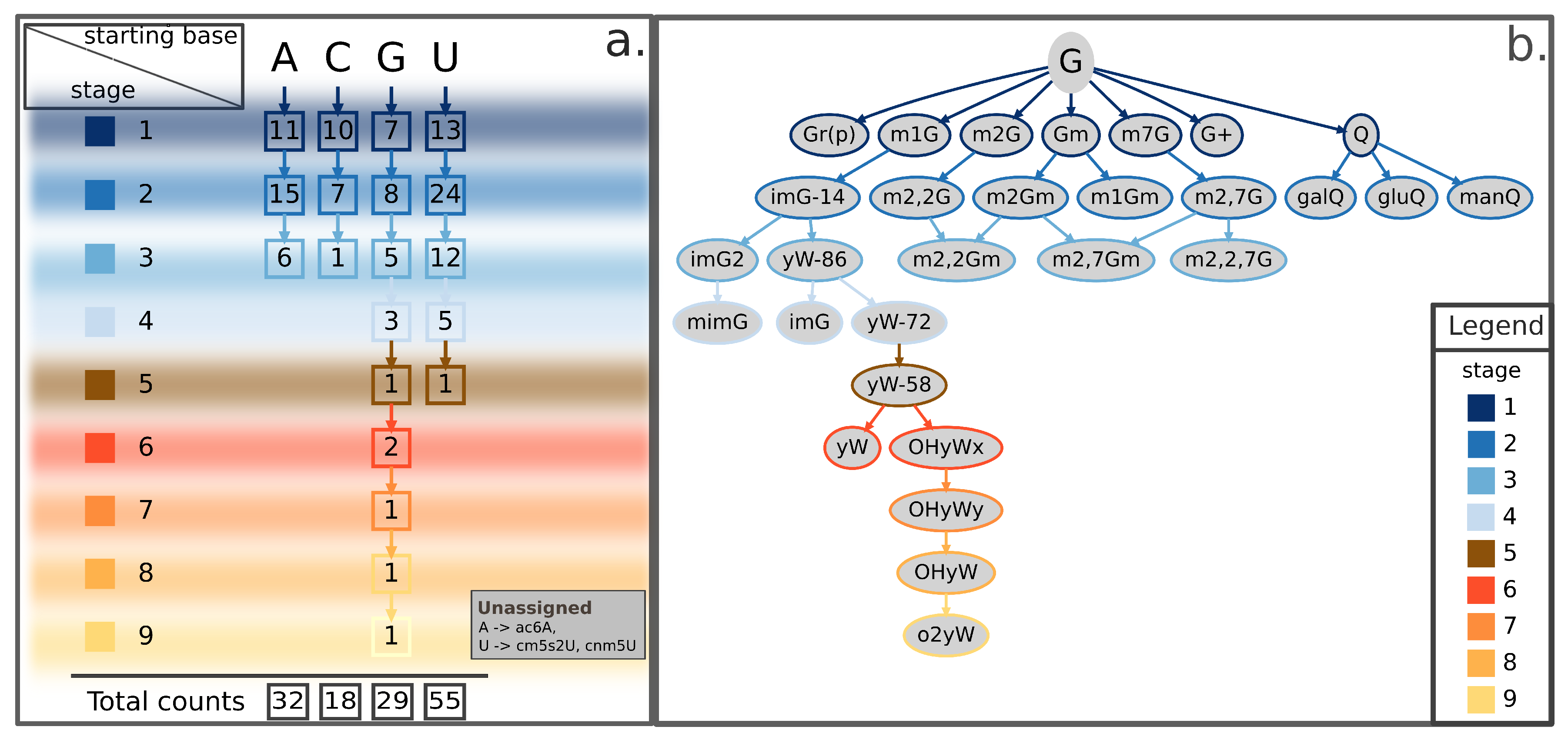 Ijms 21 04684 g002 Ijms 21 04684 g002