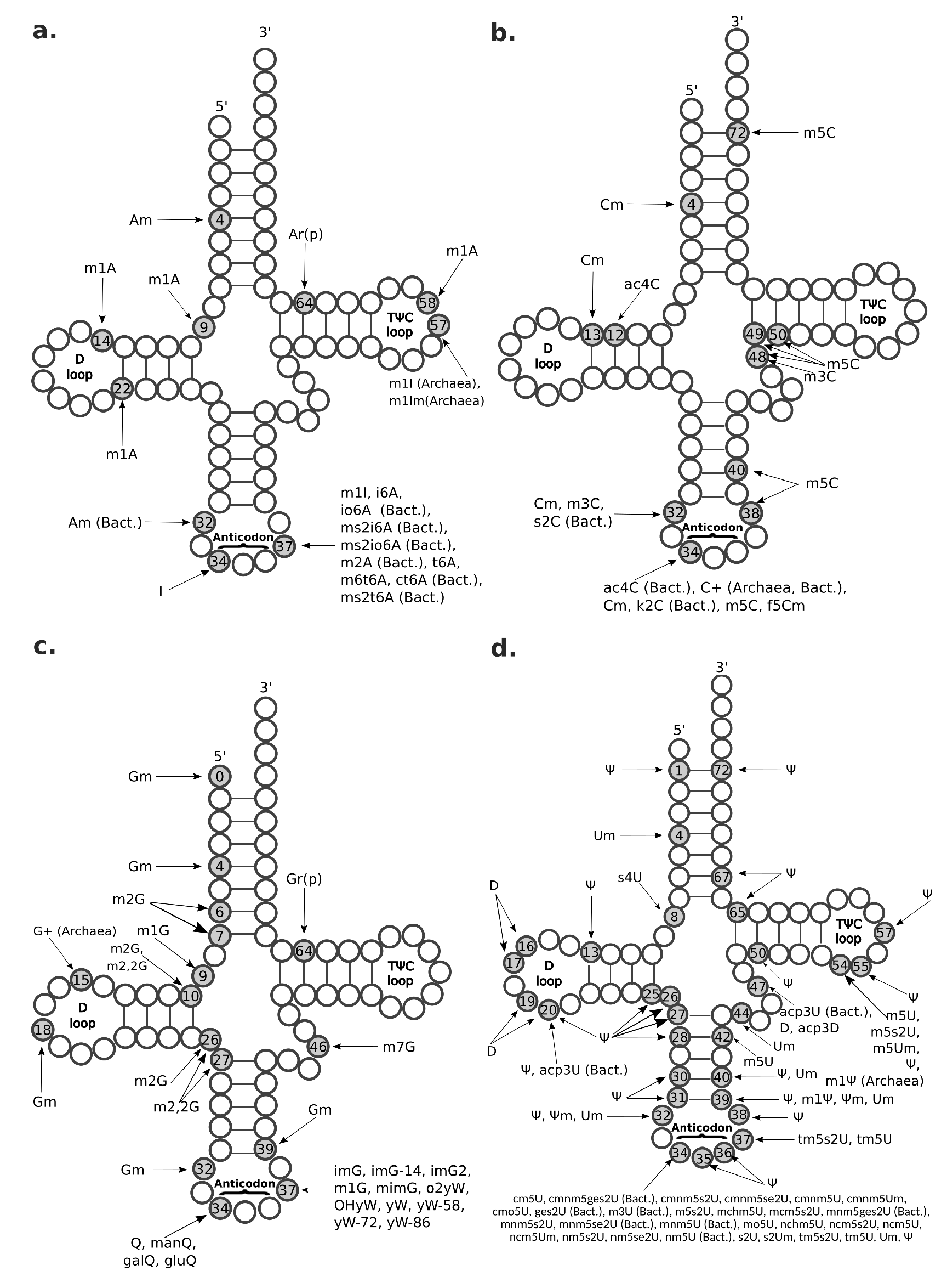 Ijms 21 04684 g004 Ijms 21 04684 g004