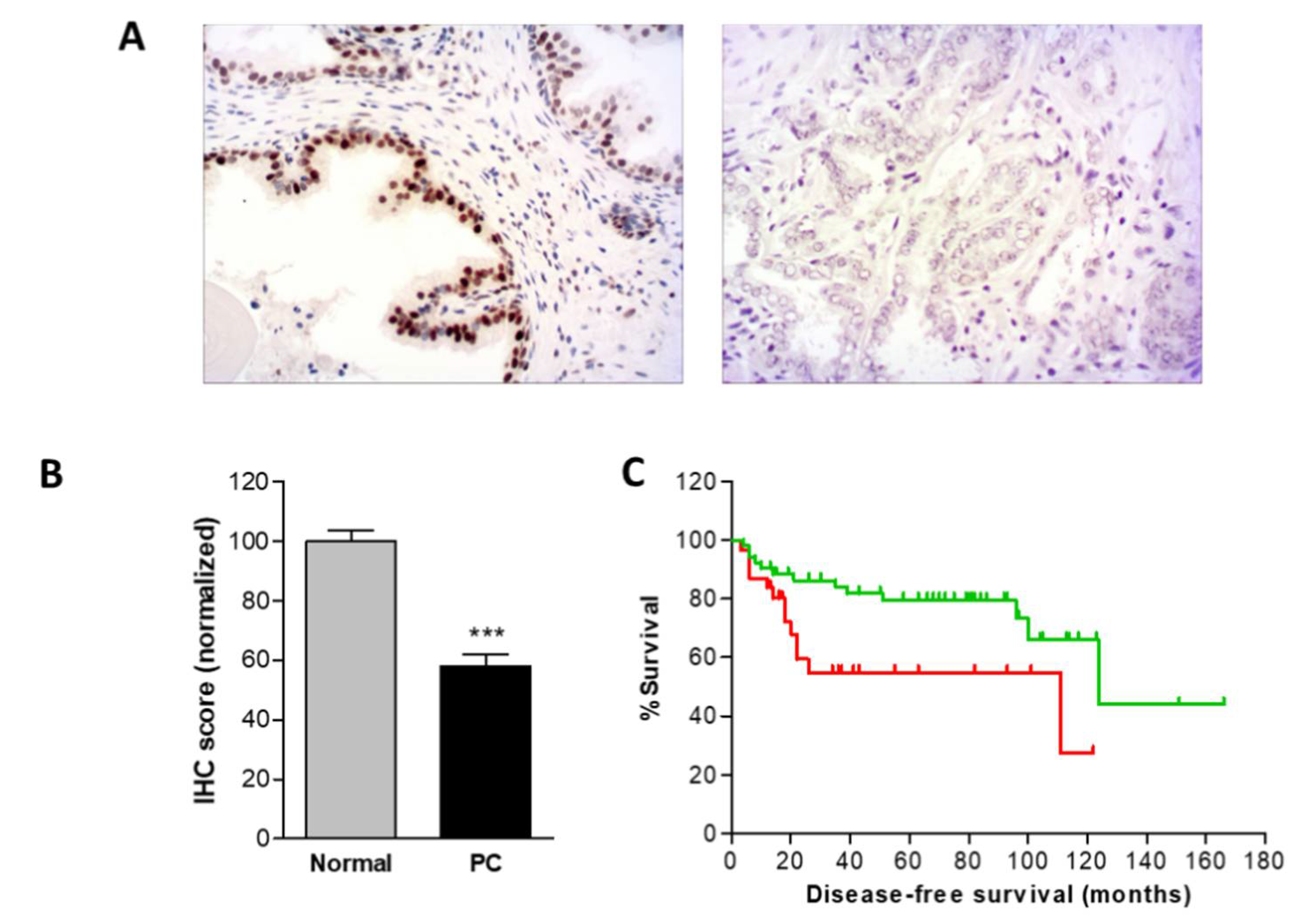 Ijms 21 04687 g006 Ijms 21 04687 g006