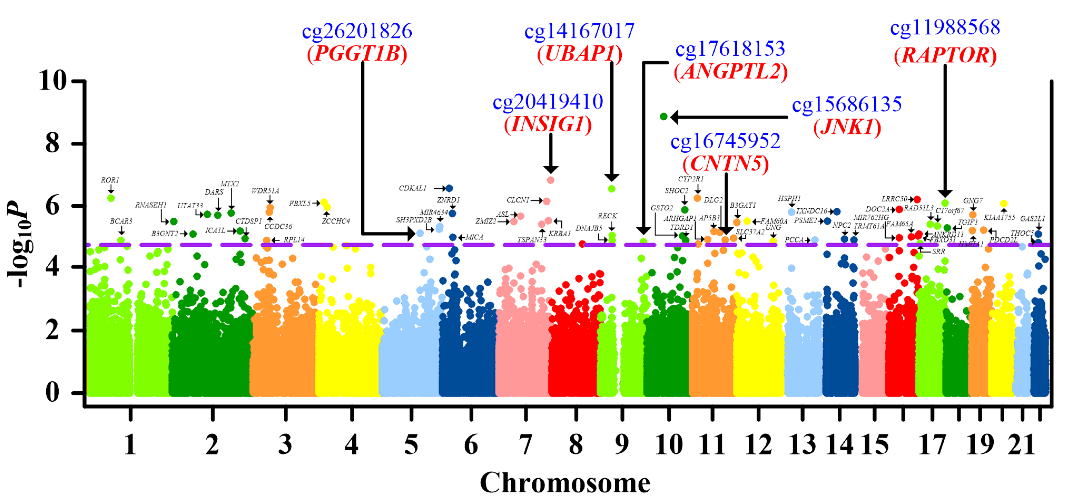 Ijms 21 04702 g001 Ijms 21 04702 g001