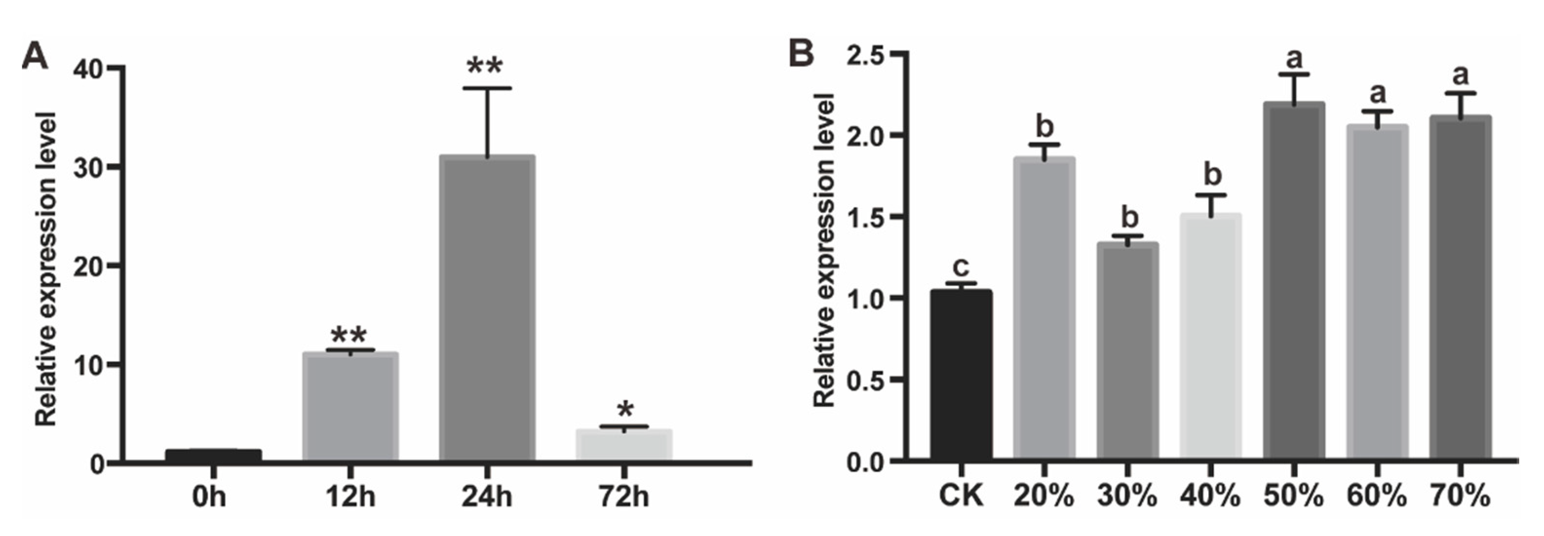 Ijms 21 04705 g002 Ijms 21 04705 g002