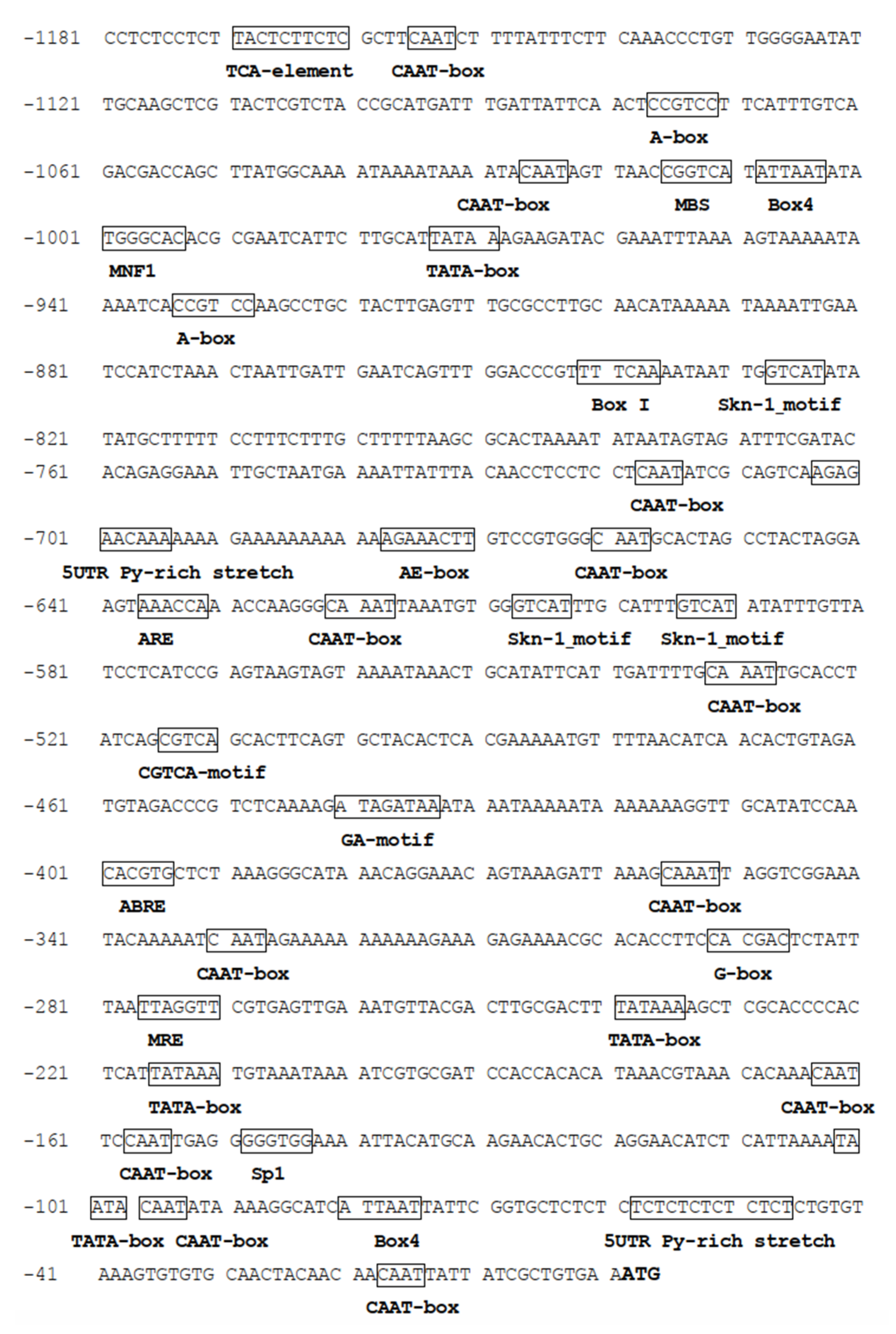 Ijms 21 04705 g003 Ijms 21 04705 g003