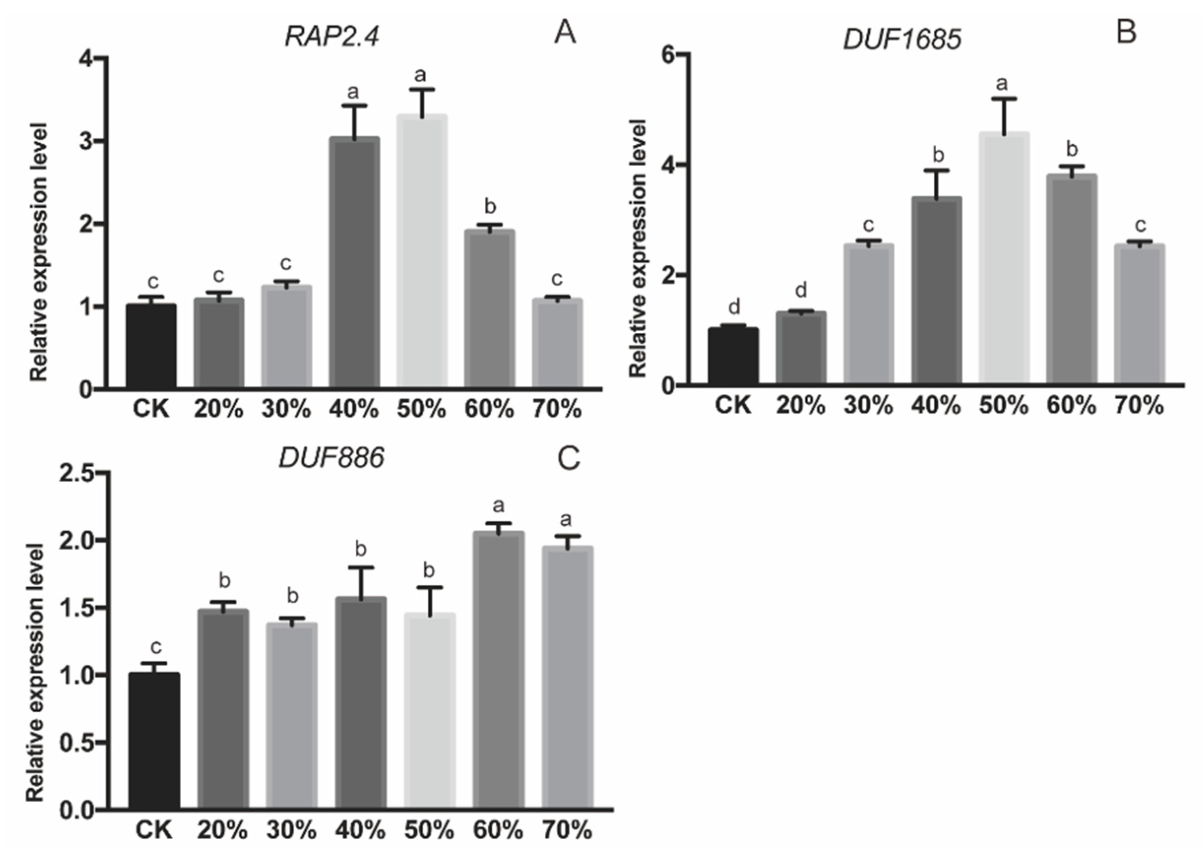 Ijms 21 04705 g007 Ijms 21 04705 g007
