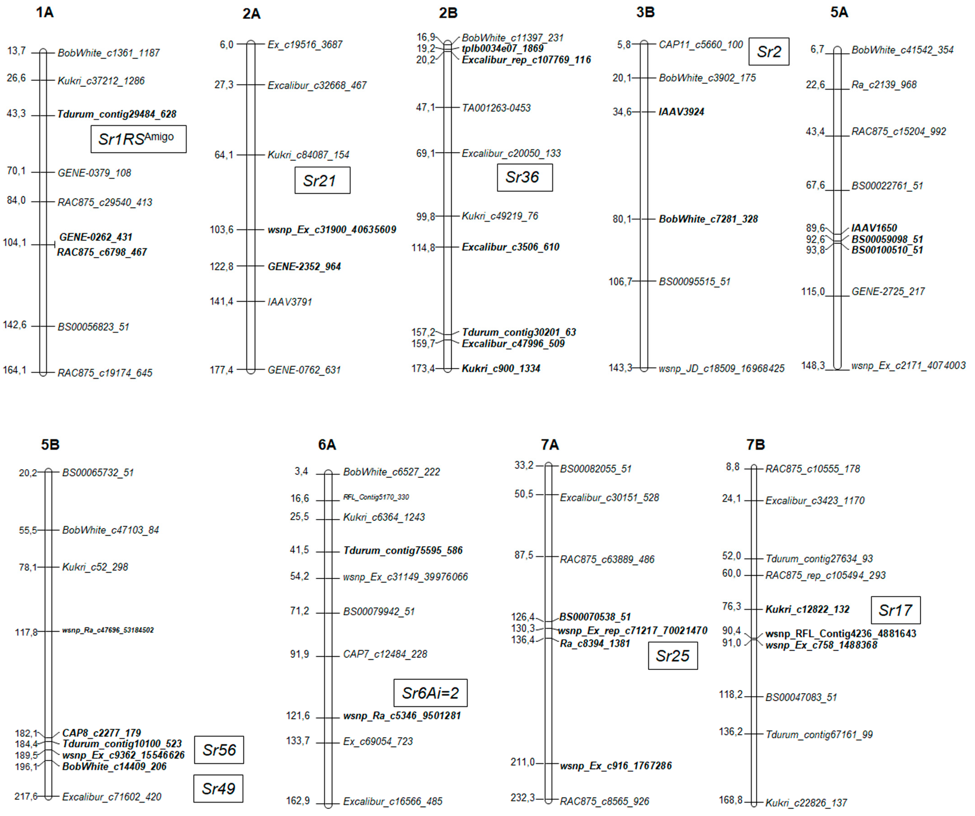 Ijms 21 04706 g004 Ijms 21 04706 g004