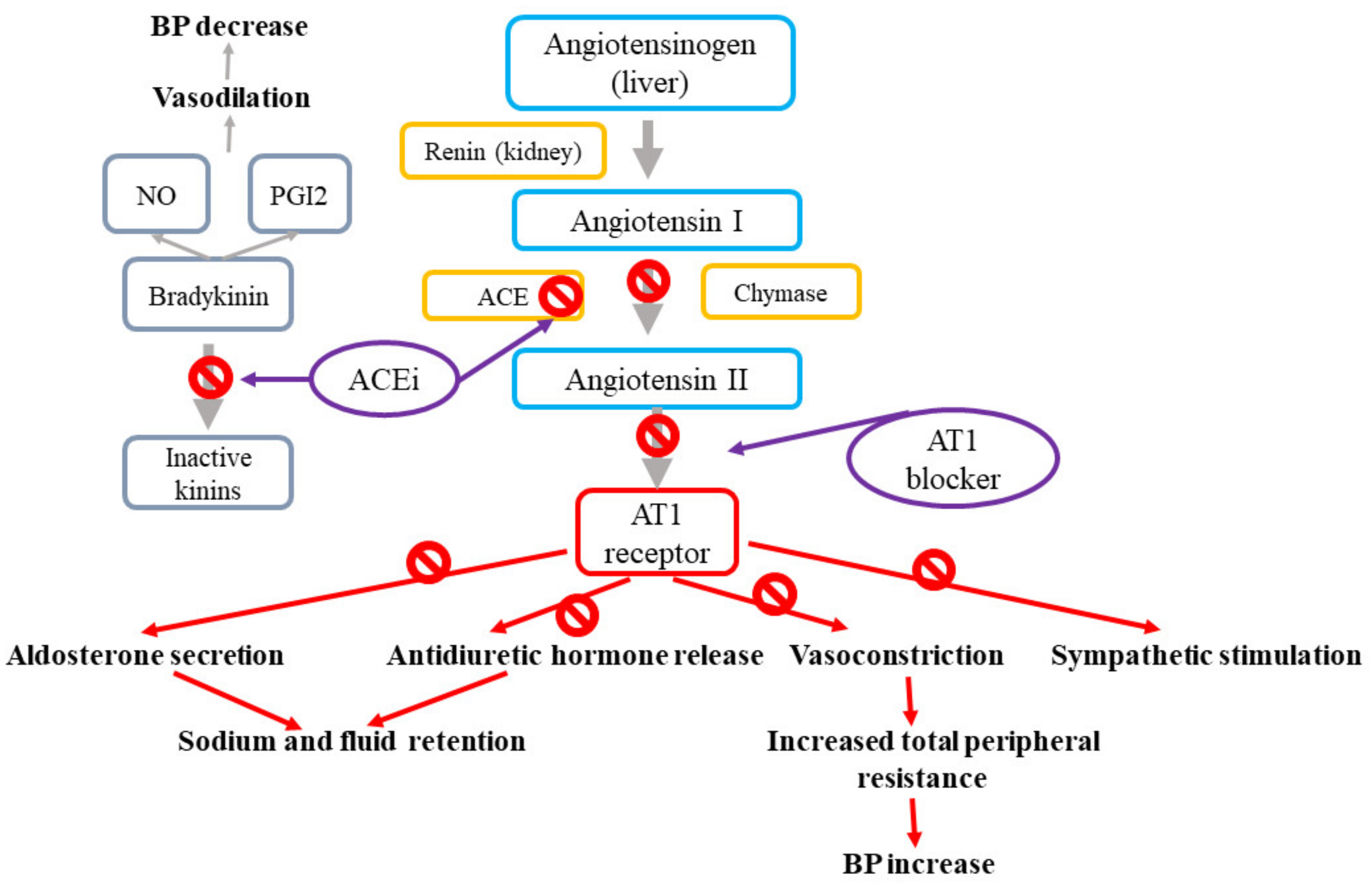 Ijms 21 04709 g002 Ijms 21 04709 g002