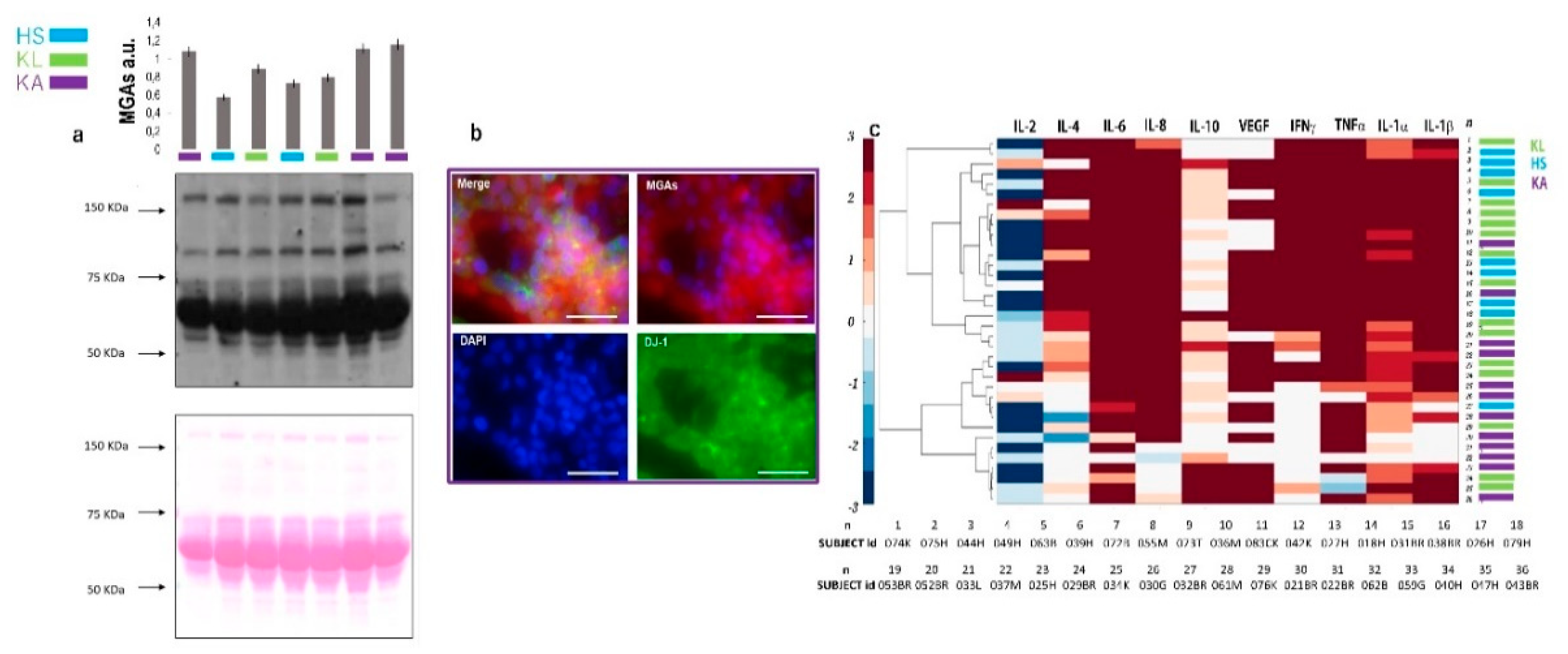 Ijms 21 04711 g002 Ijms 21 04711 g002