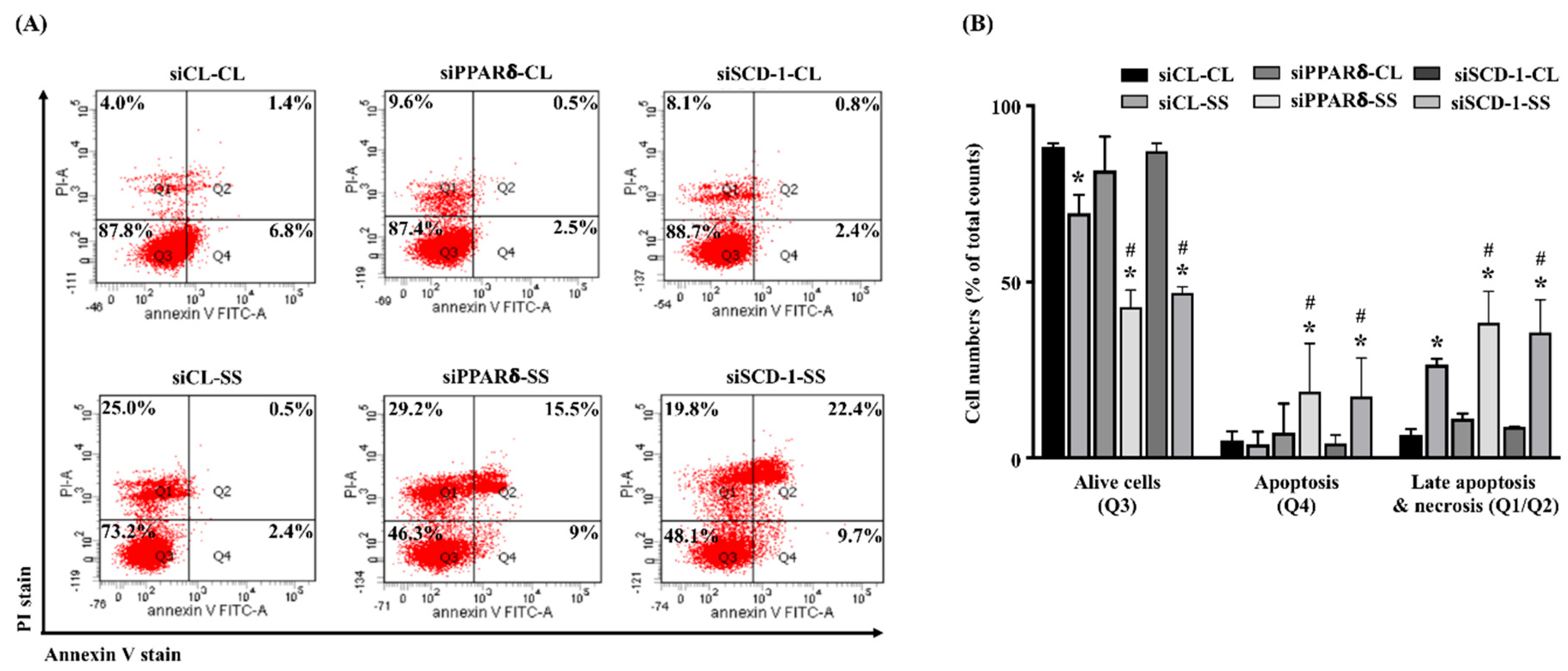 Ijms 21 04720 g006 Ijms 21 04720 g006