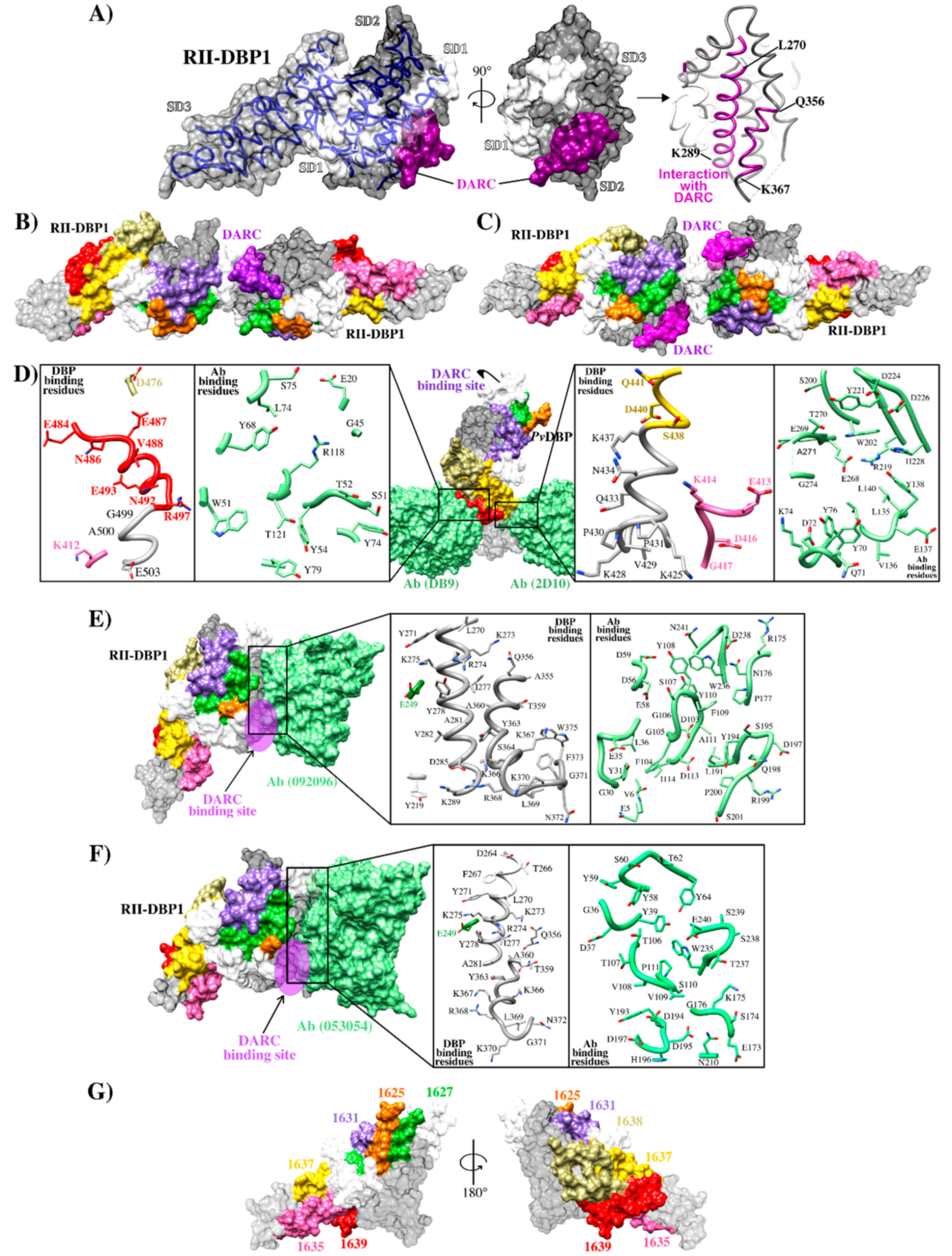 Ijms 21 04729 g003 Ijms 21 04729 g003
