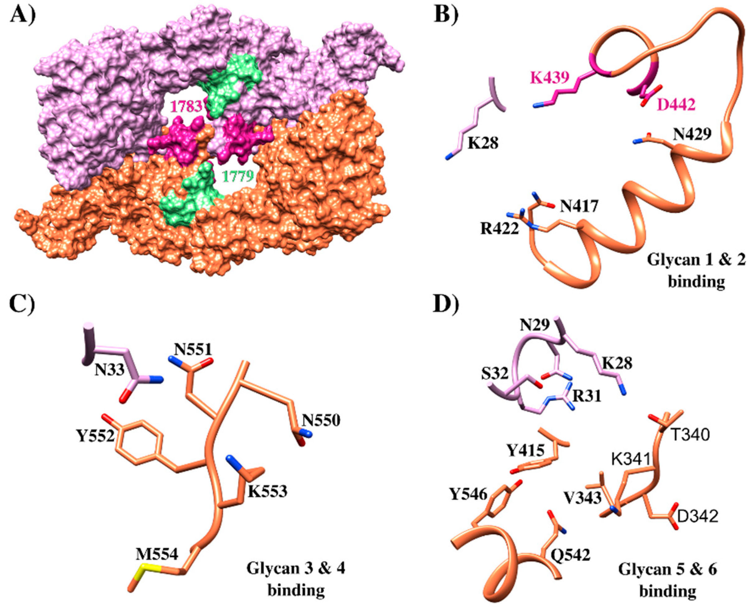 Ijms 21 04729 g006 Ijms 21 04729 g006