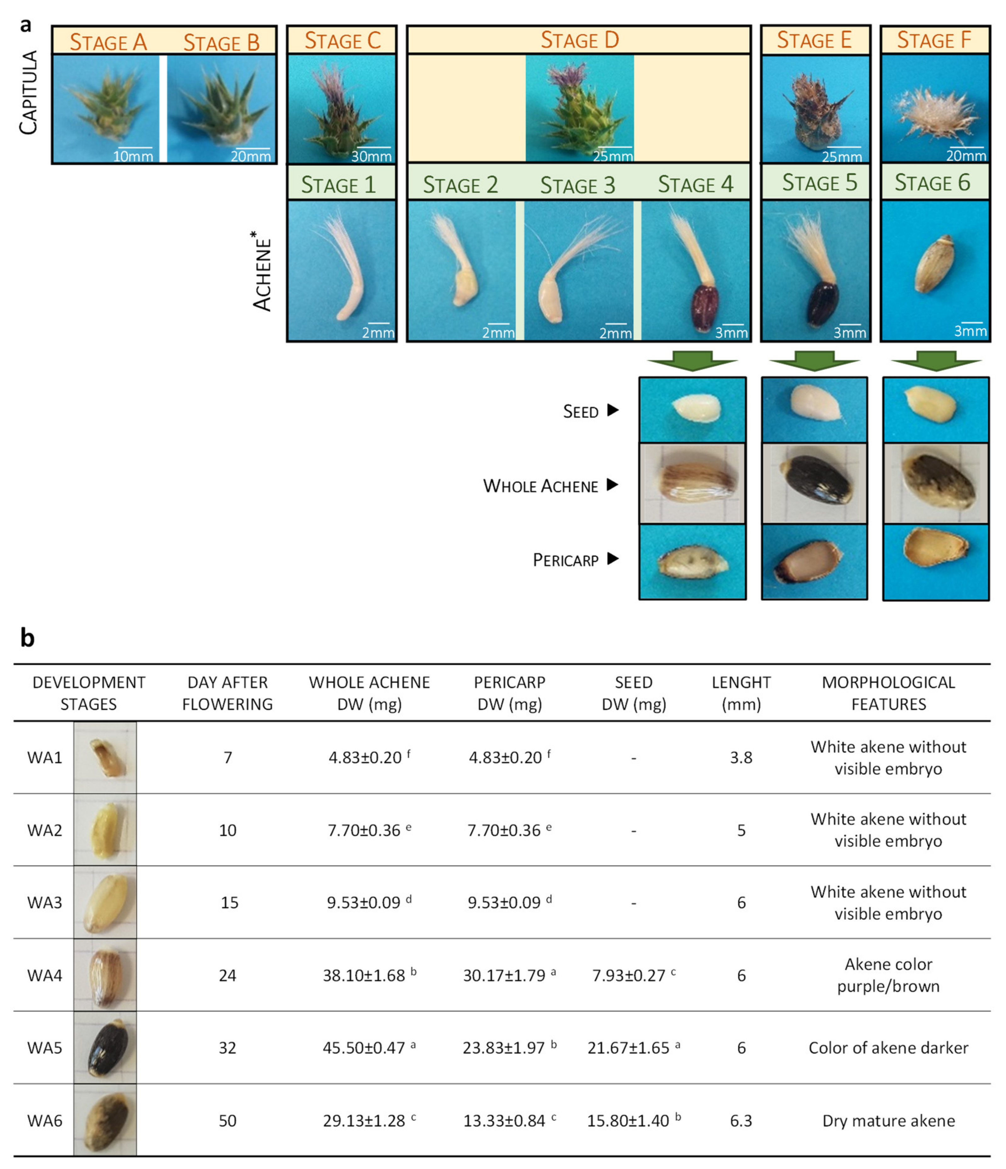 Ijms 21 04730 g002 Ijms 21 04730 g002
