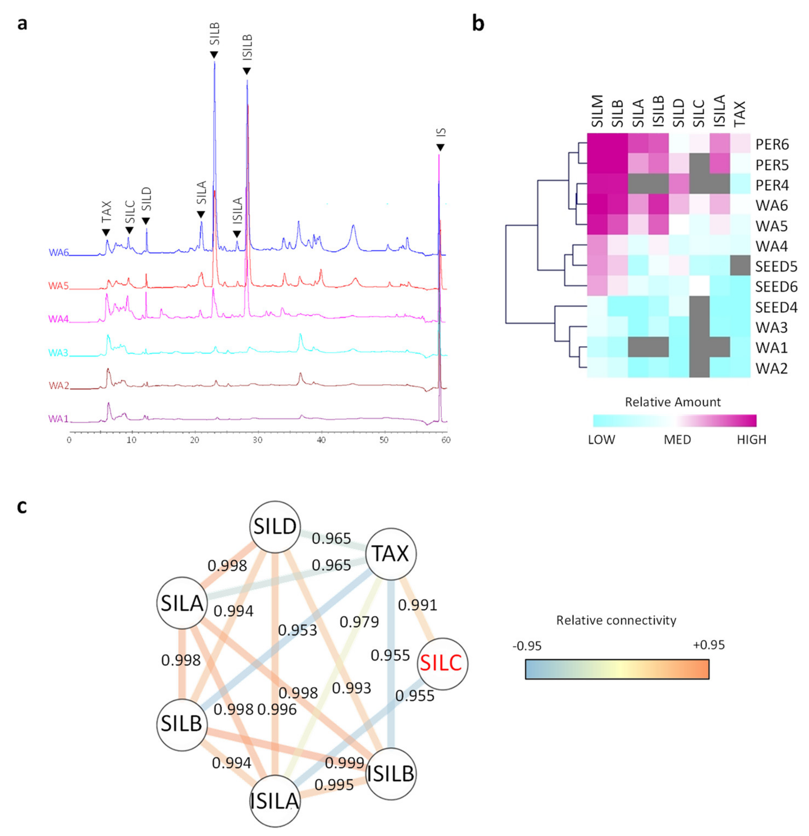 Ijms 21 04730 g003 Ijms 21 04730 g003