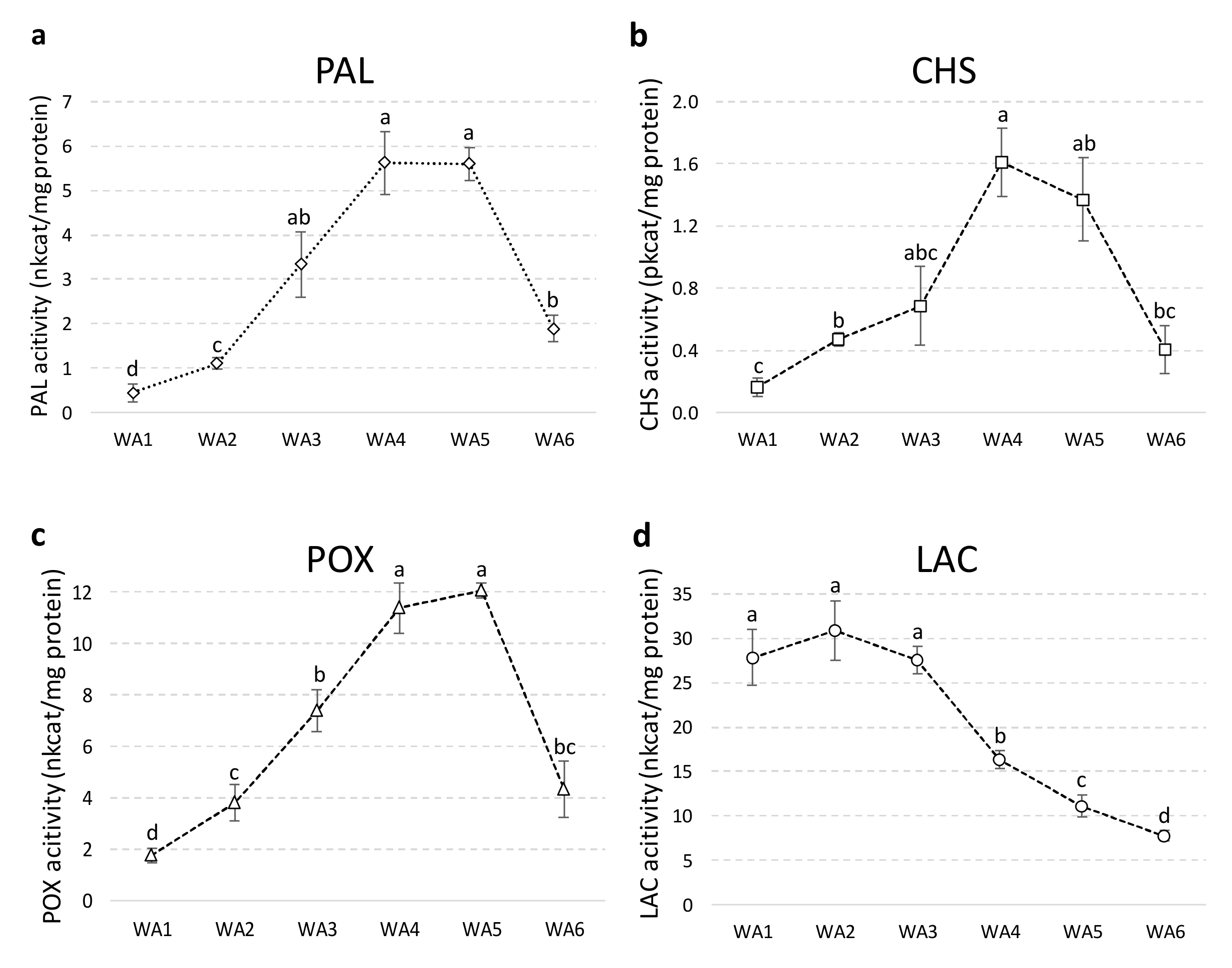 Ijms 21 04730 g004 Ijms 21 04730 g004