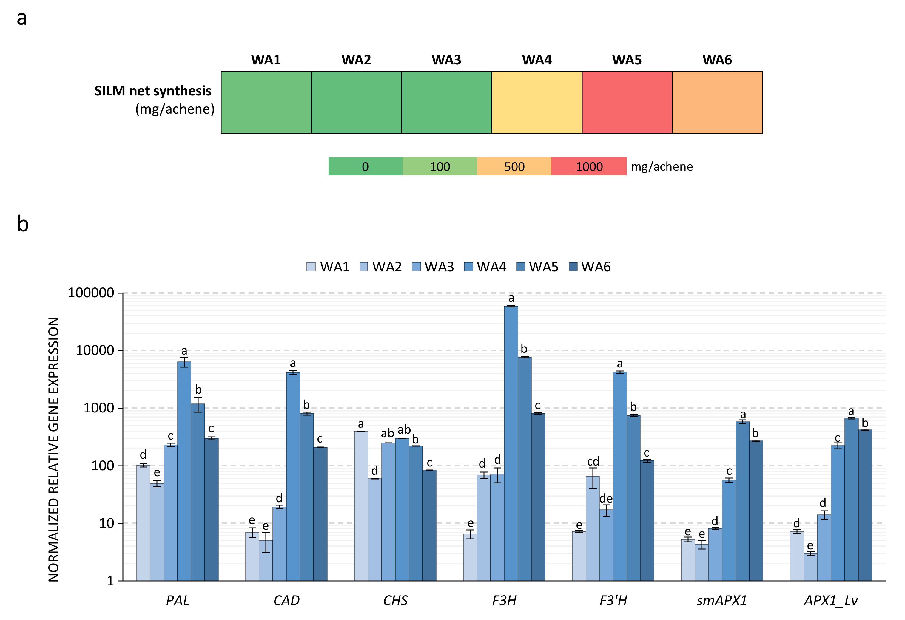 Ijms 21 04730 g006 Ijms 21 04730 g006
