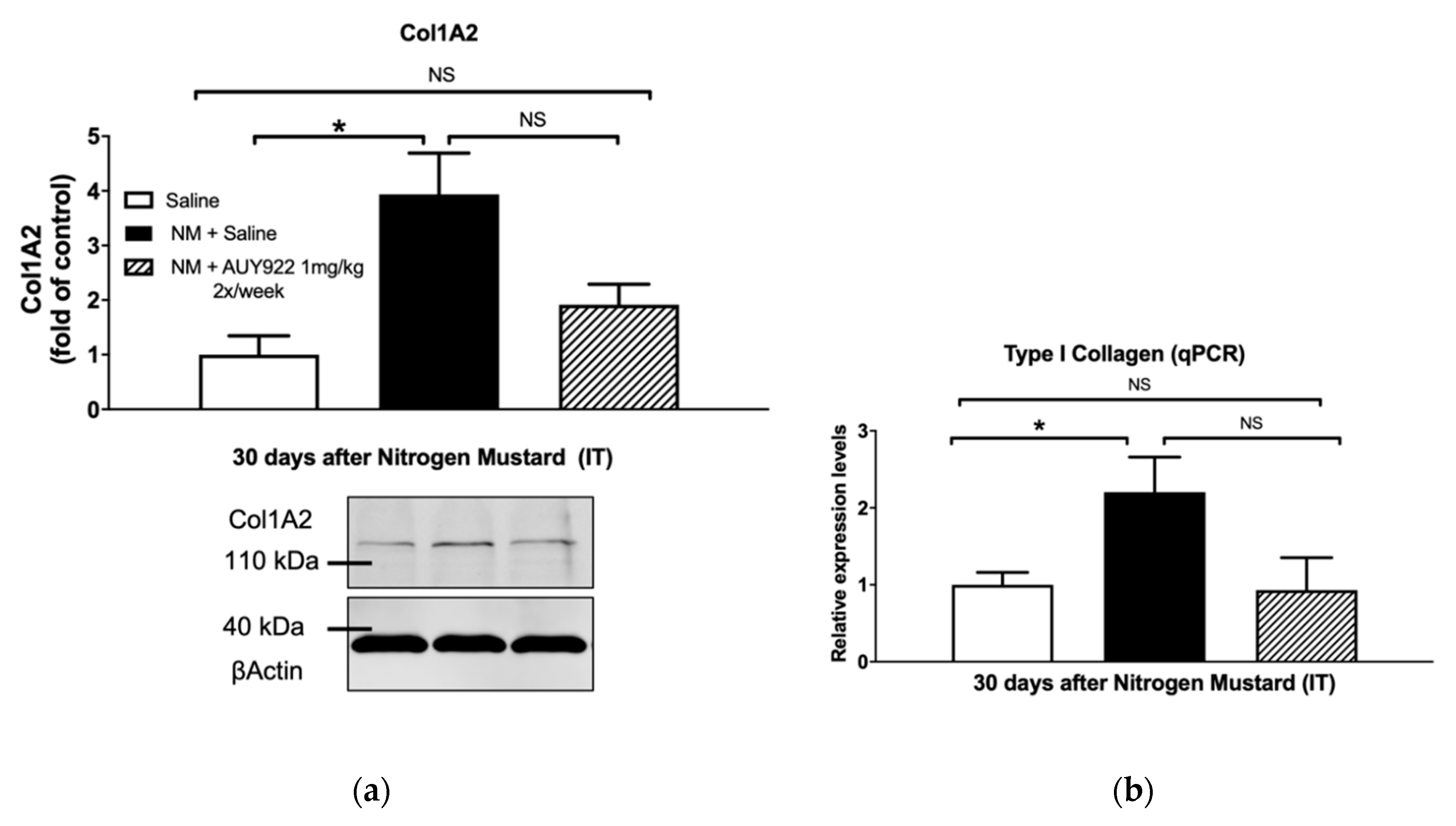 Ijms 21 04740 g004a Ijms 21 04740 g004a