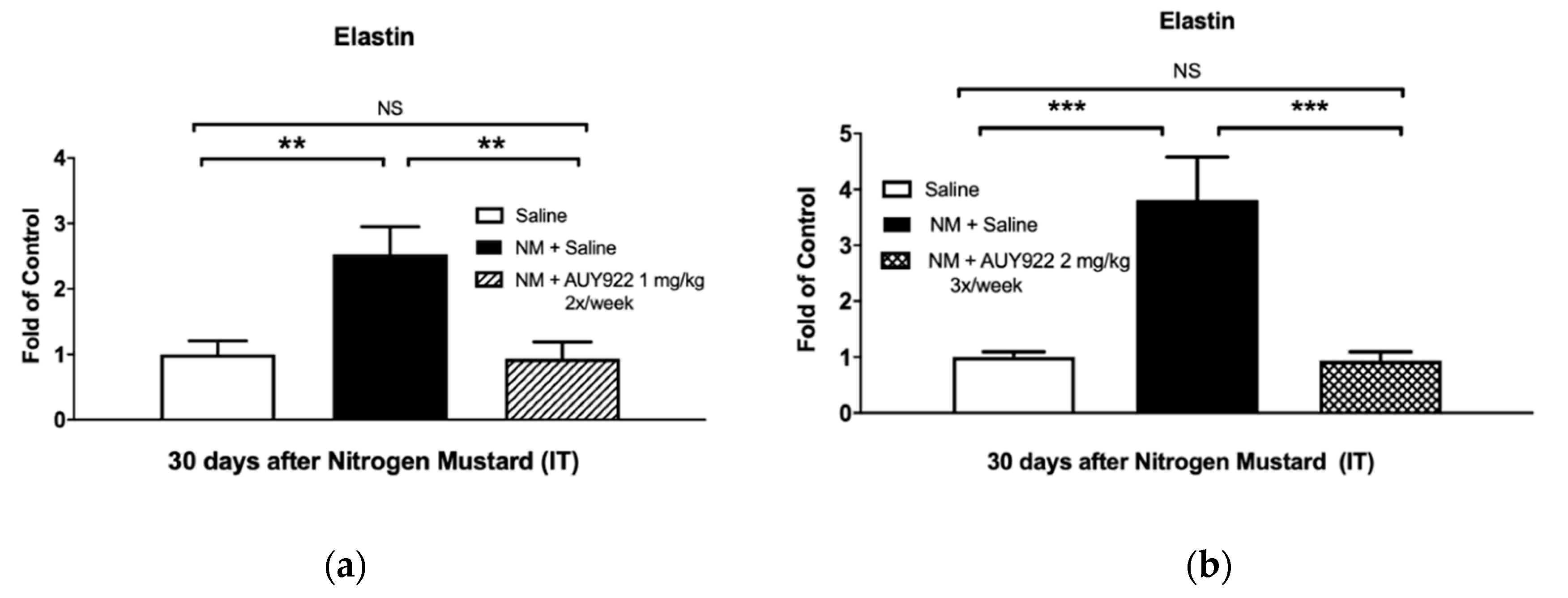 Ijms 21 04740 g005 Ijms 21 04740 g005