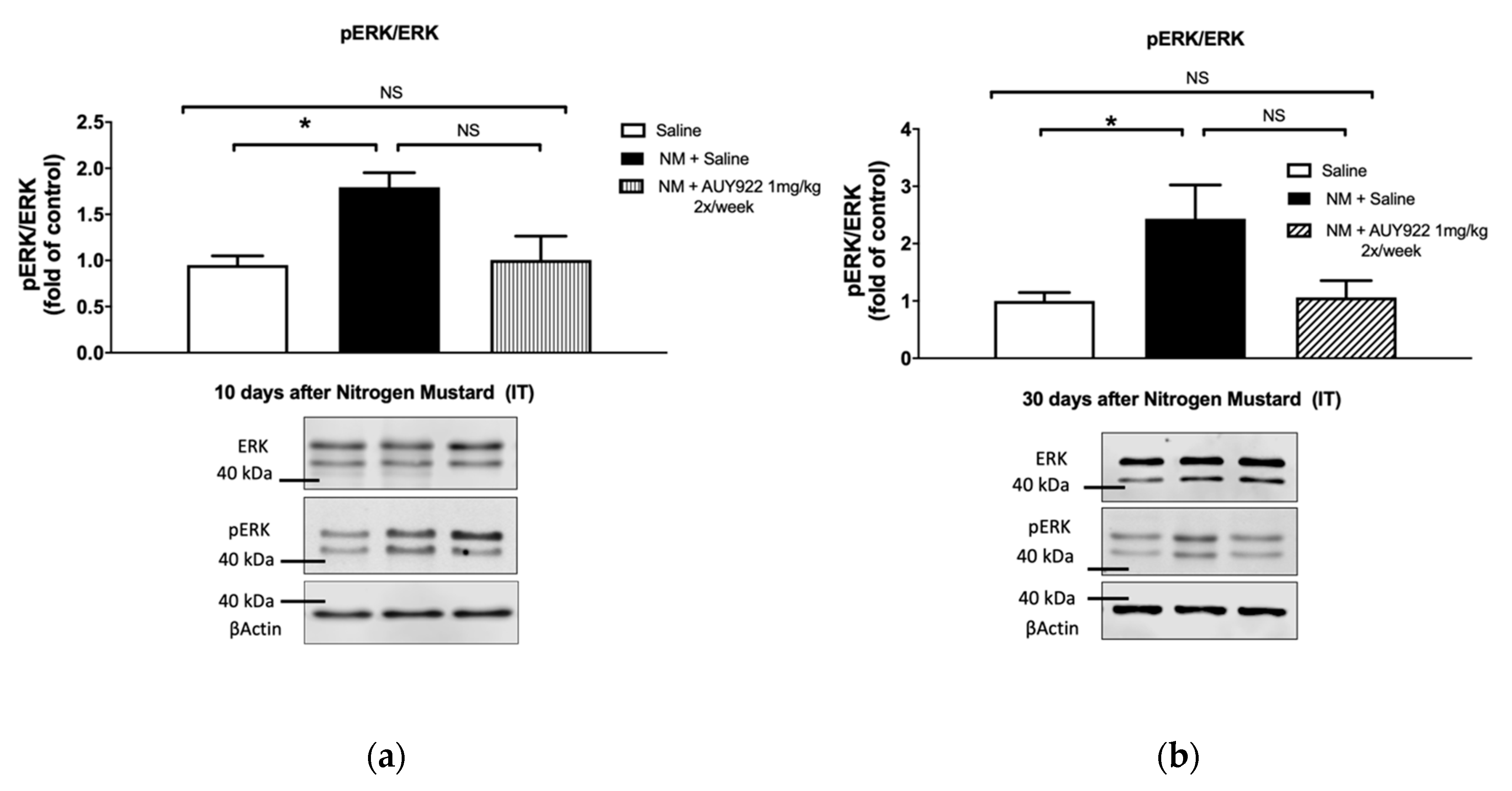 Ijms 21 04740 g007a Ijms 21 04740 g007a