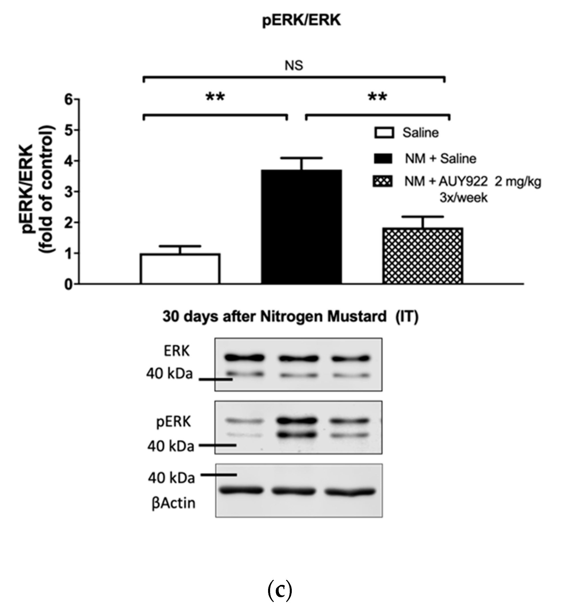 Ijms 21 04740 g007b Ijms 21 04740 g007b