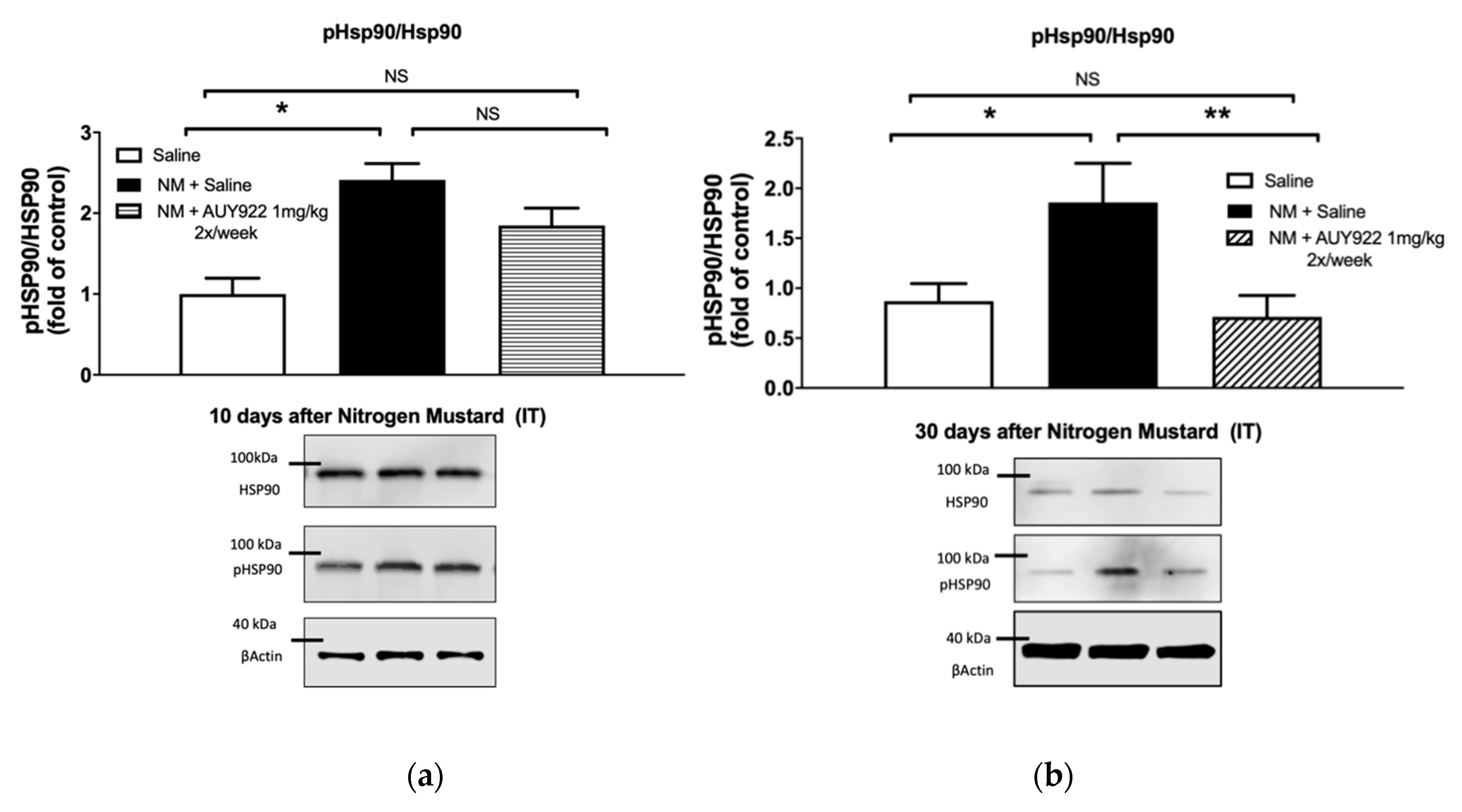 Ijms 21 04740 g008a Ijms 21 04740 g008a