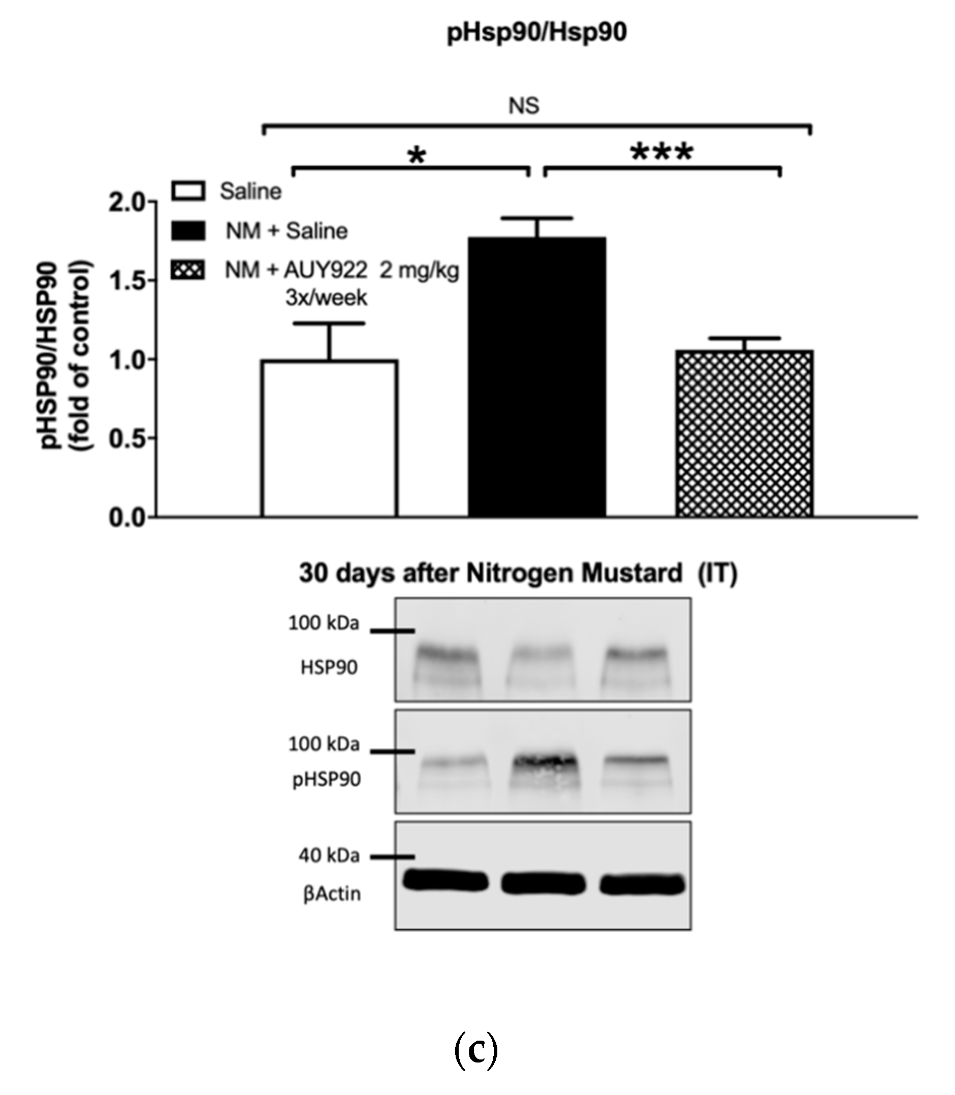Ijms 21 04740 g008b Ijms 21 04740 g008b