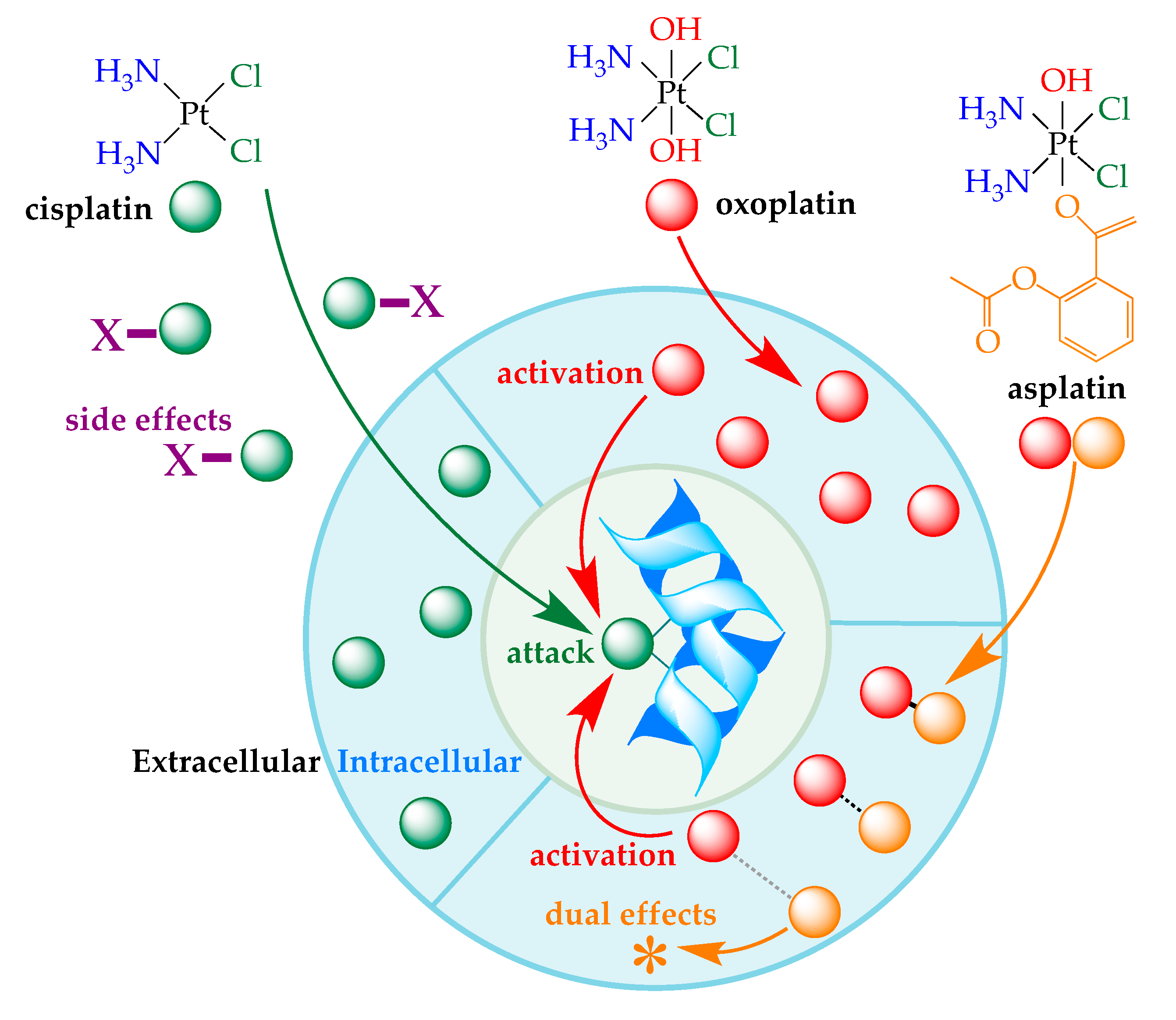 Ijms 21 04741 g001 Ijms 21 04741 g001