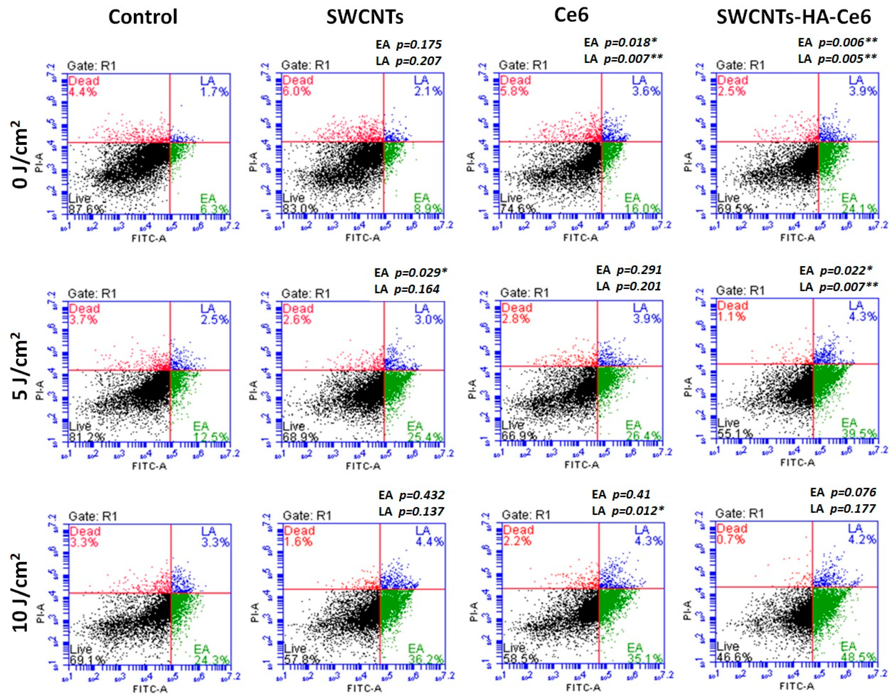 Ijms 21 04745 g007 Ijms 21 04745 g007
