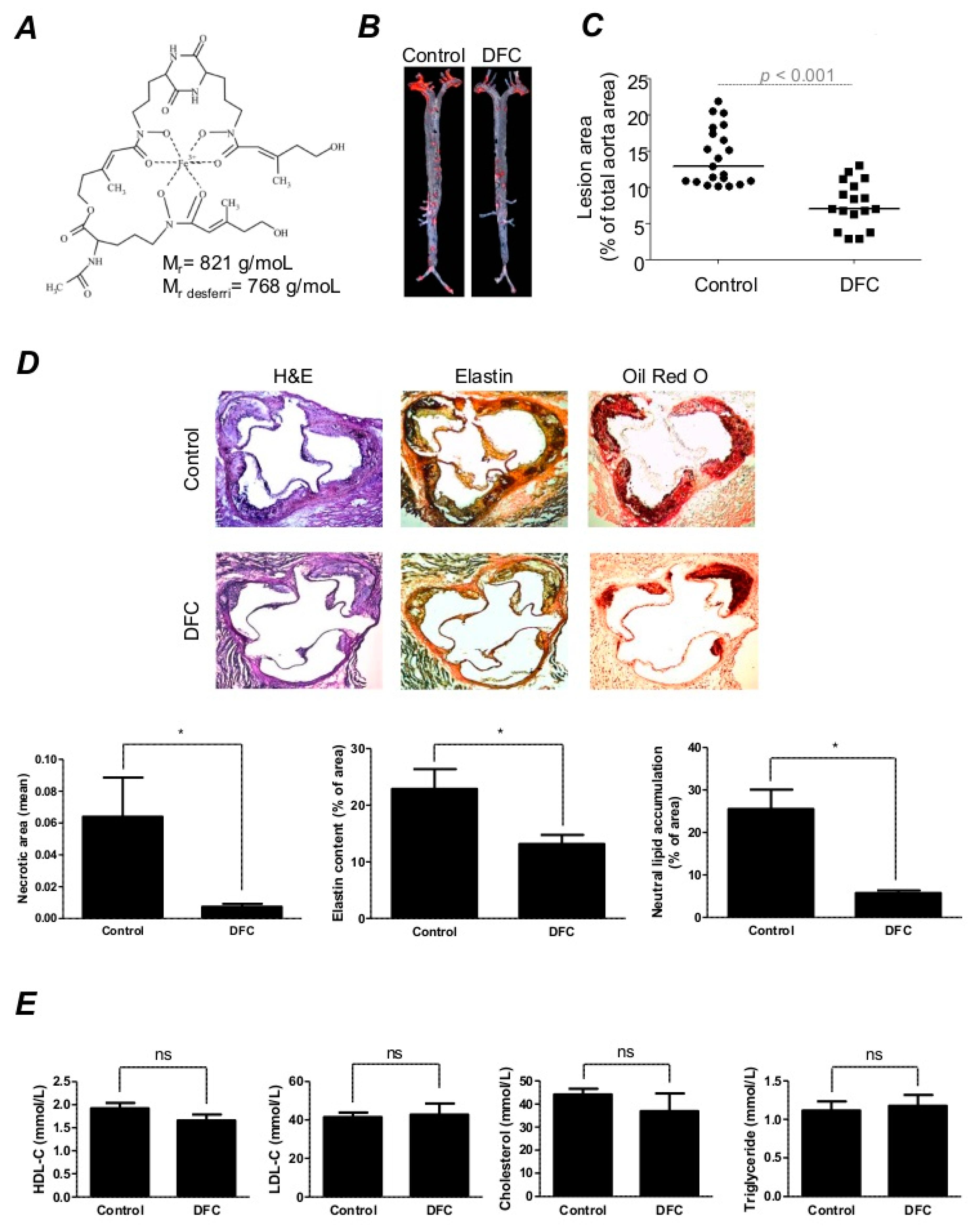 Ijms 21 04746 g001 Ijms 21 04746 g001