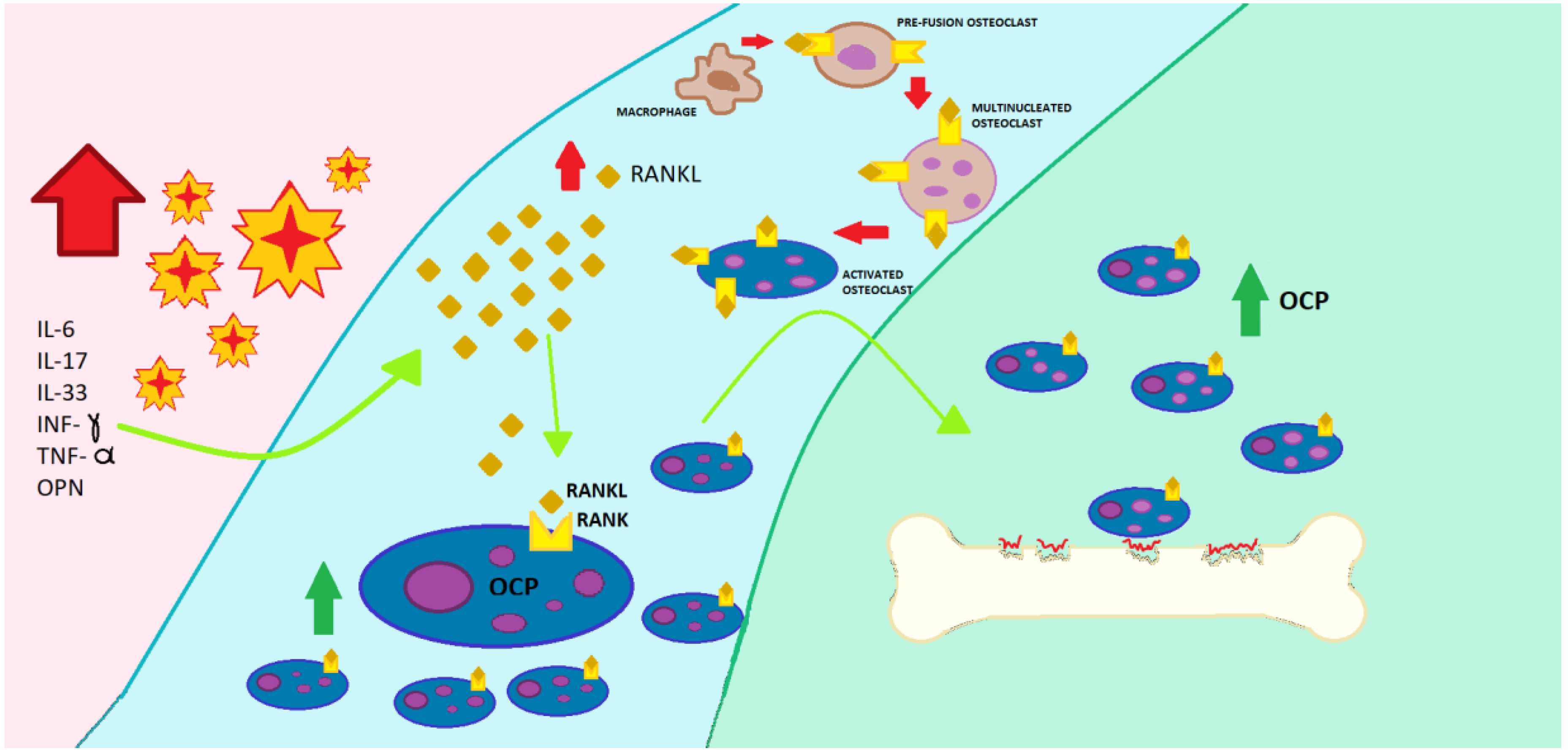 Ijms 21 04749 g003 Ijms 21 04749 g003