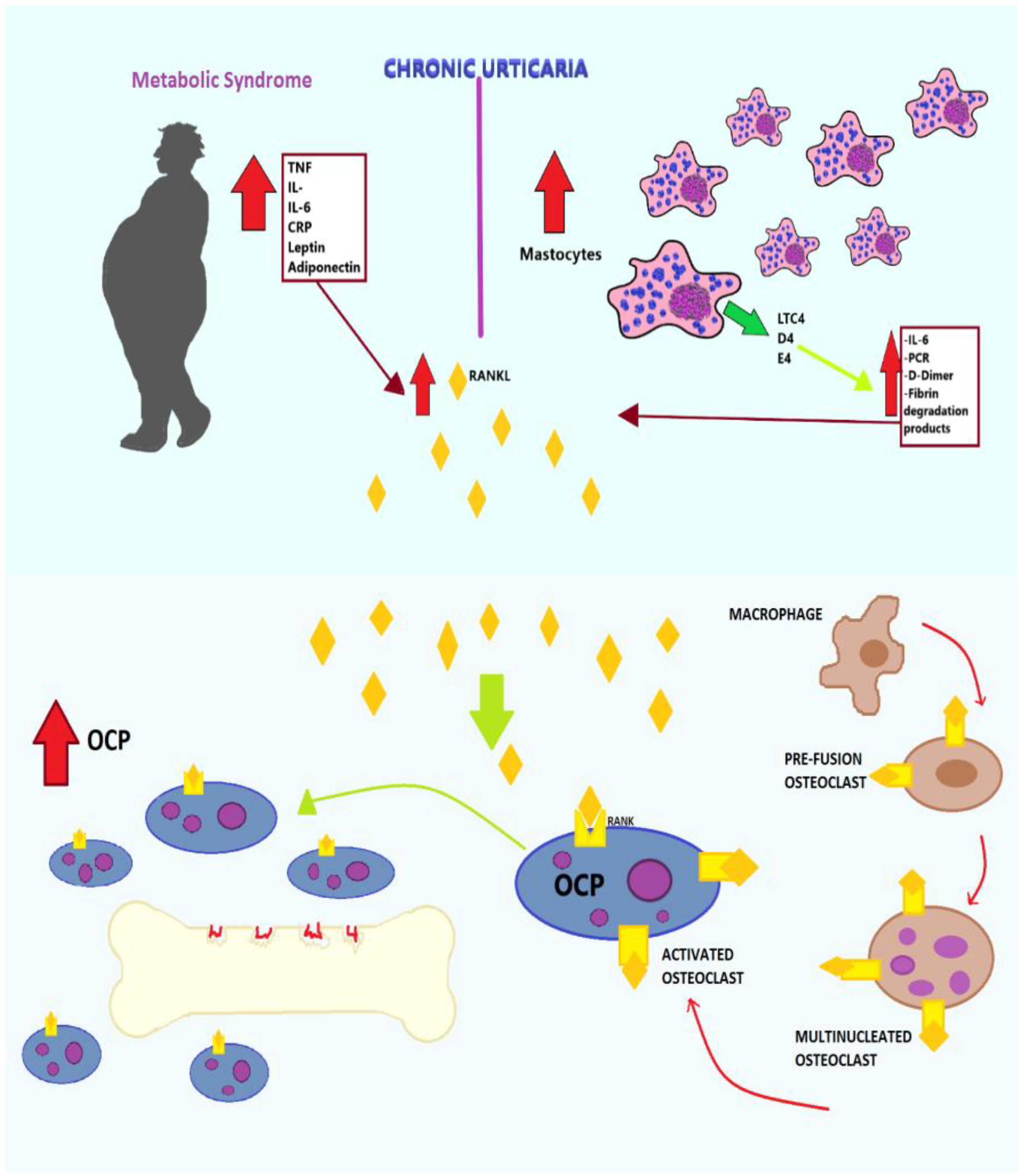 Ijms 21 04749 g004 Ijms 21 04749 g004