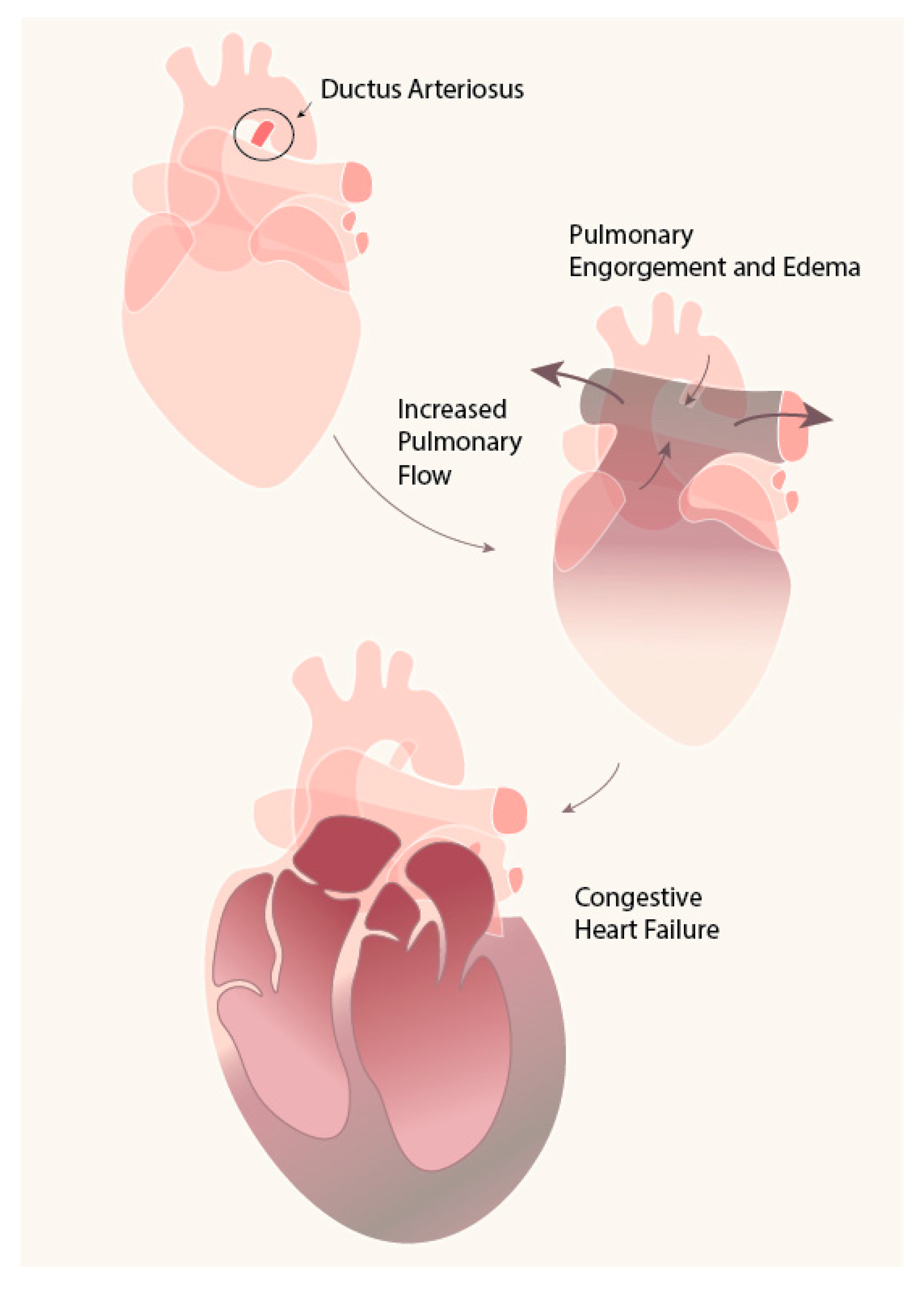 Ijms 21 04761 g001 Ijms 21 04761 g001