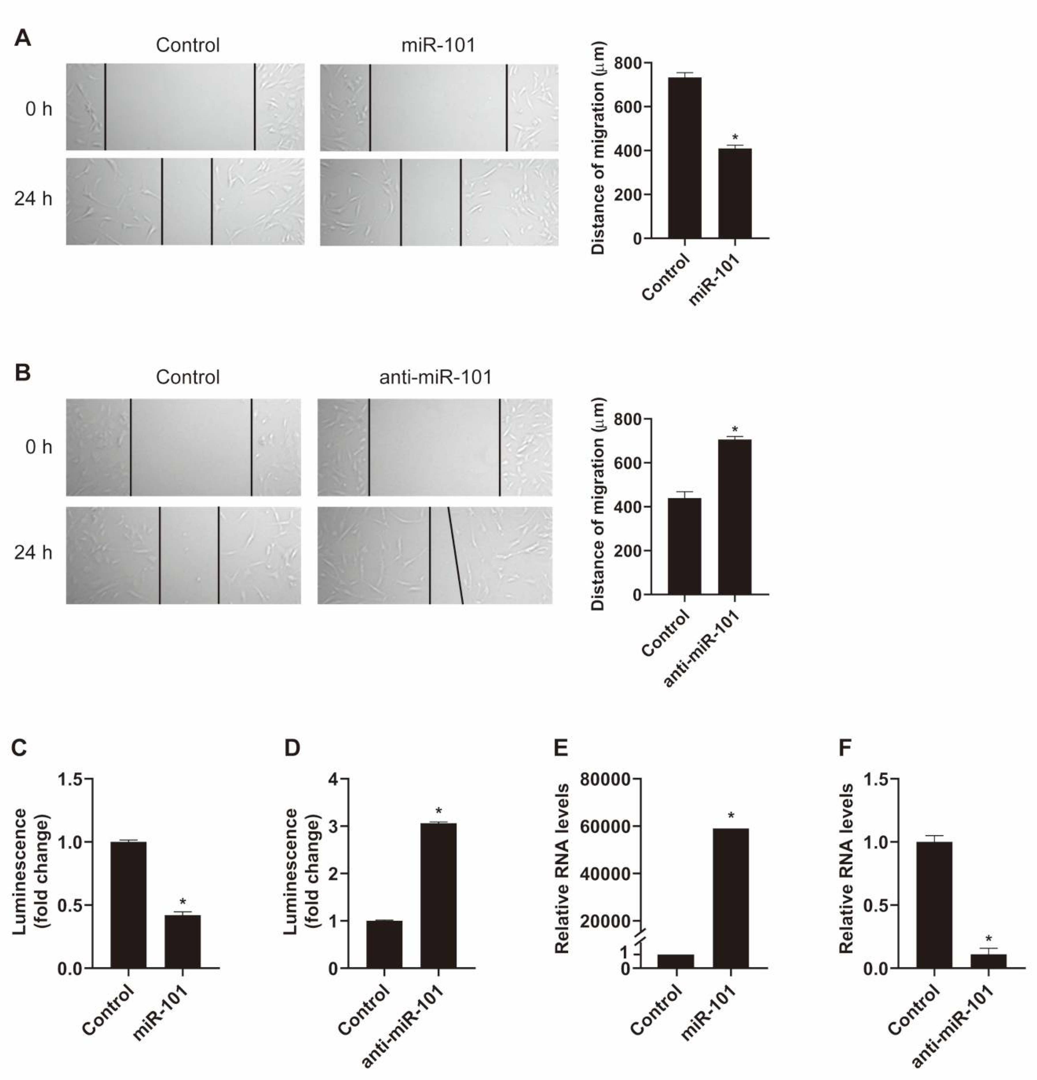 Ijms 21 04764 g001 Ijms 21 04764 g001