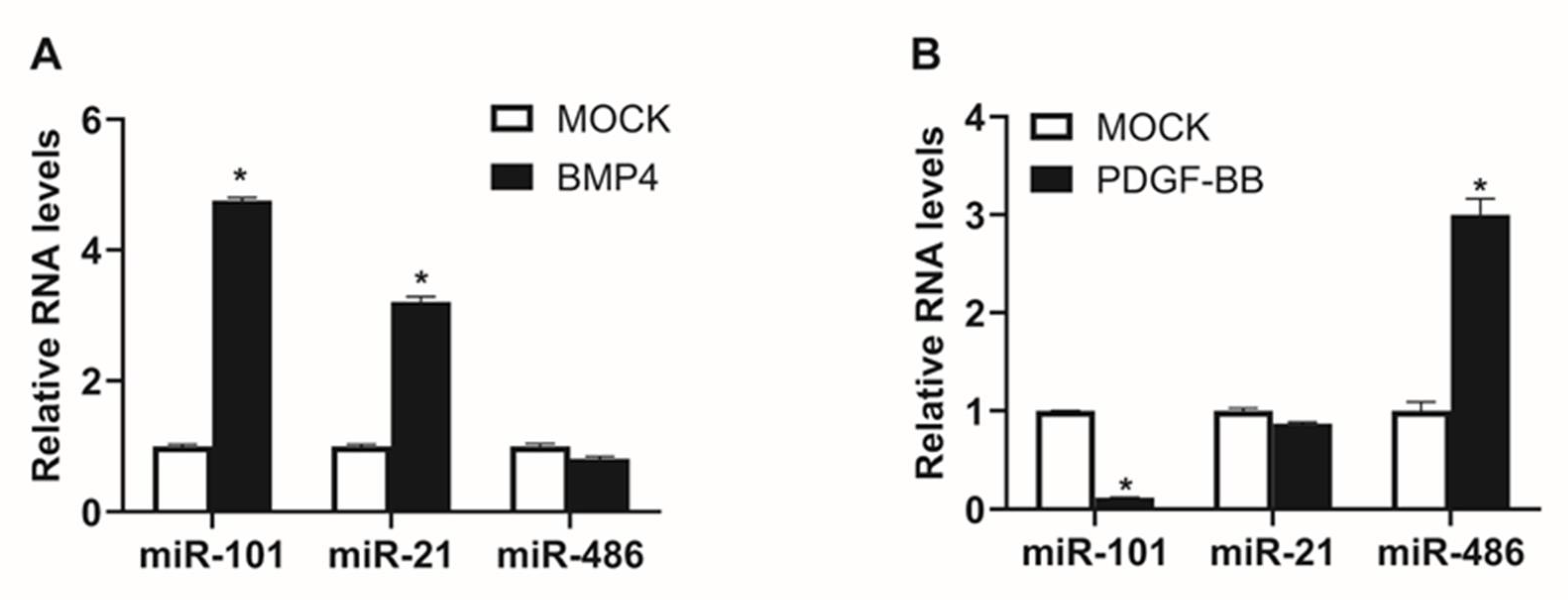Ijms 21 04764 g002 Ijms 21 04764 g002