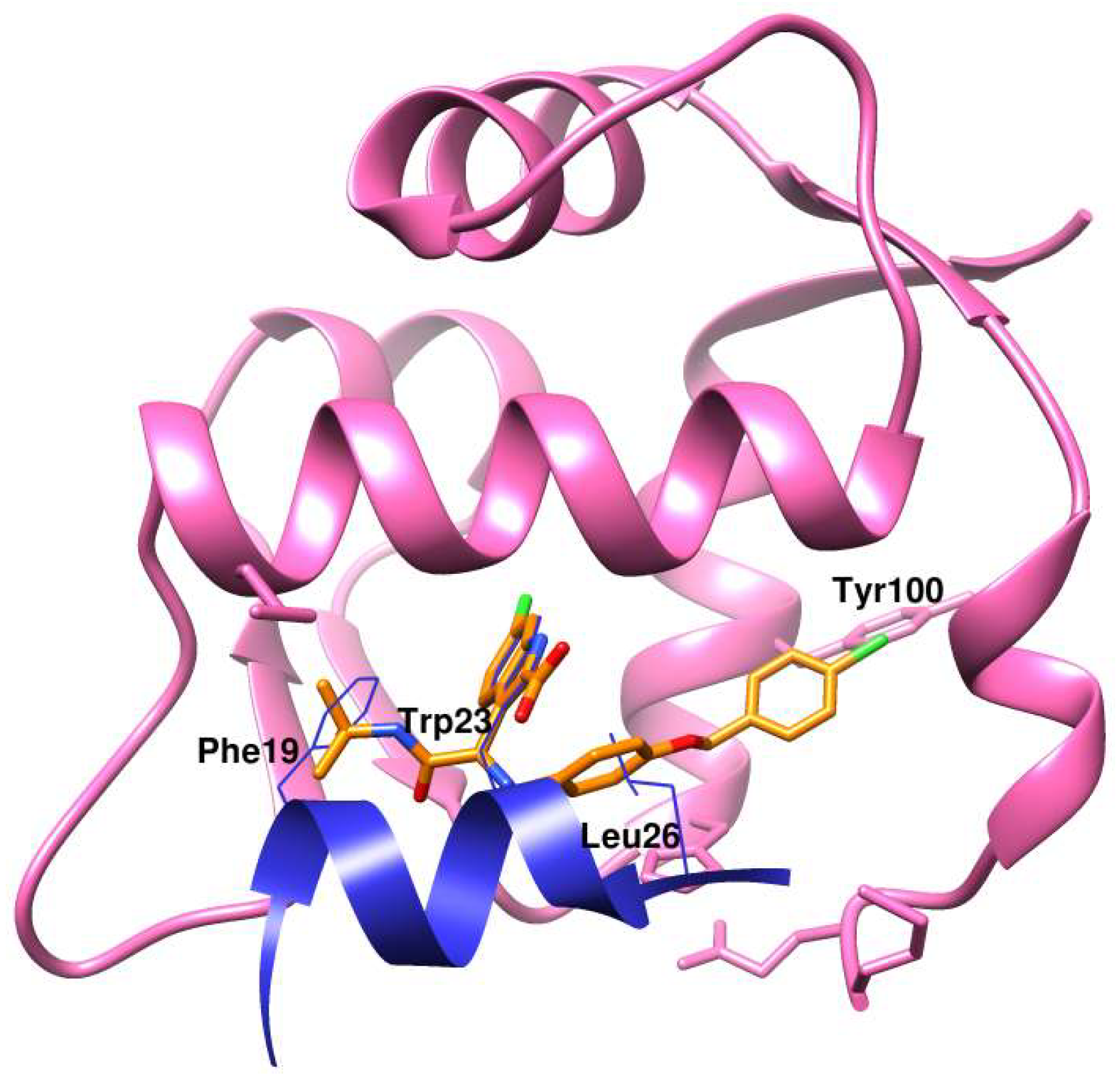 IJMS | Free Full-Text | Absolute Binding Free Energy Calculations for Highly Flexible Protein MDM2 and Its Inhibitors IJMS | Free Full-Text | Absolute Binding Free Energy Calculations for Highly Flexible Protein MDM2 and Its Inhibitors