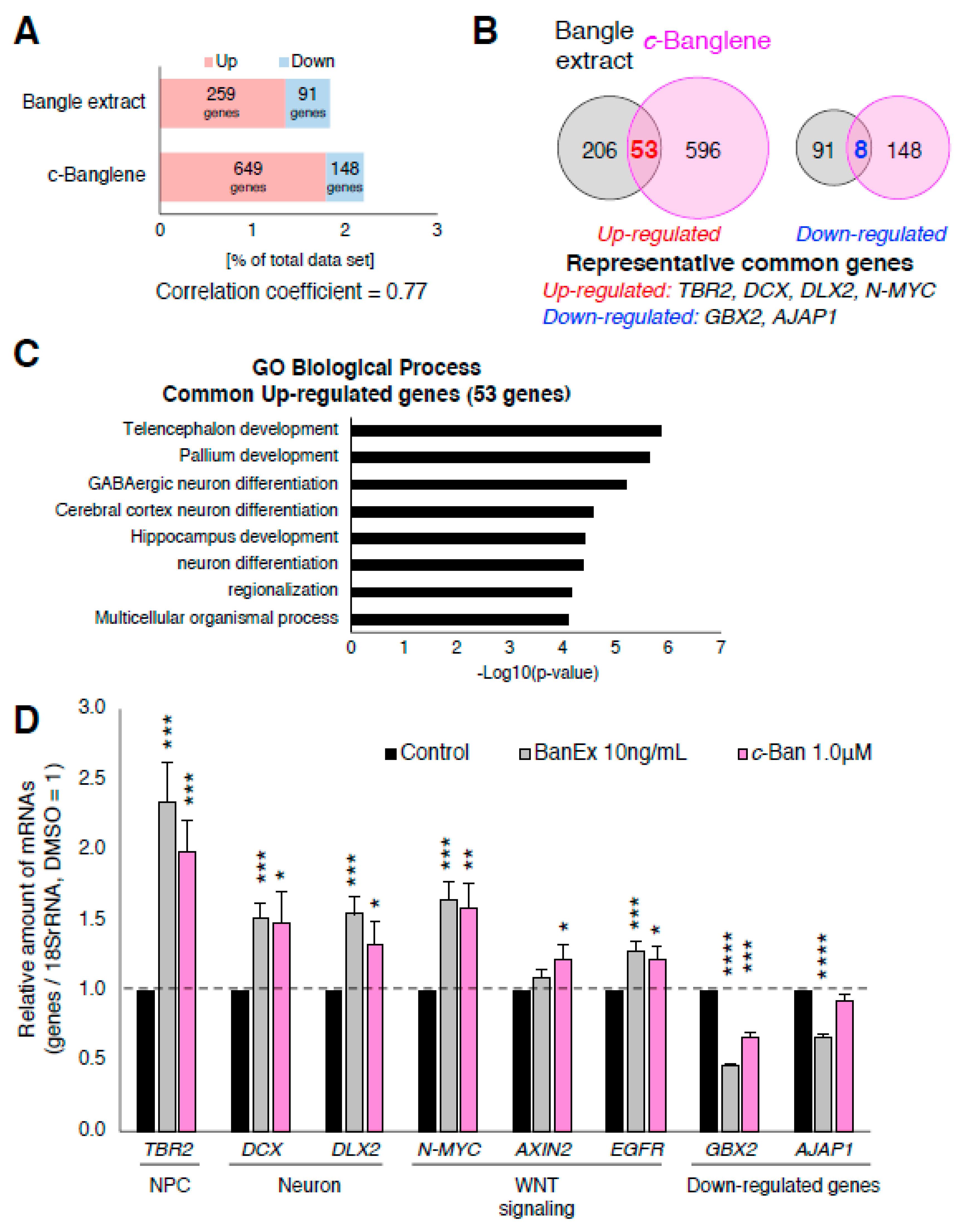Ijms 21 04772 g002 Ijms 21 04772 g002