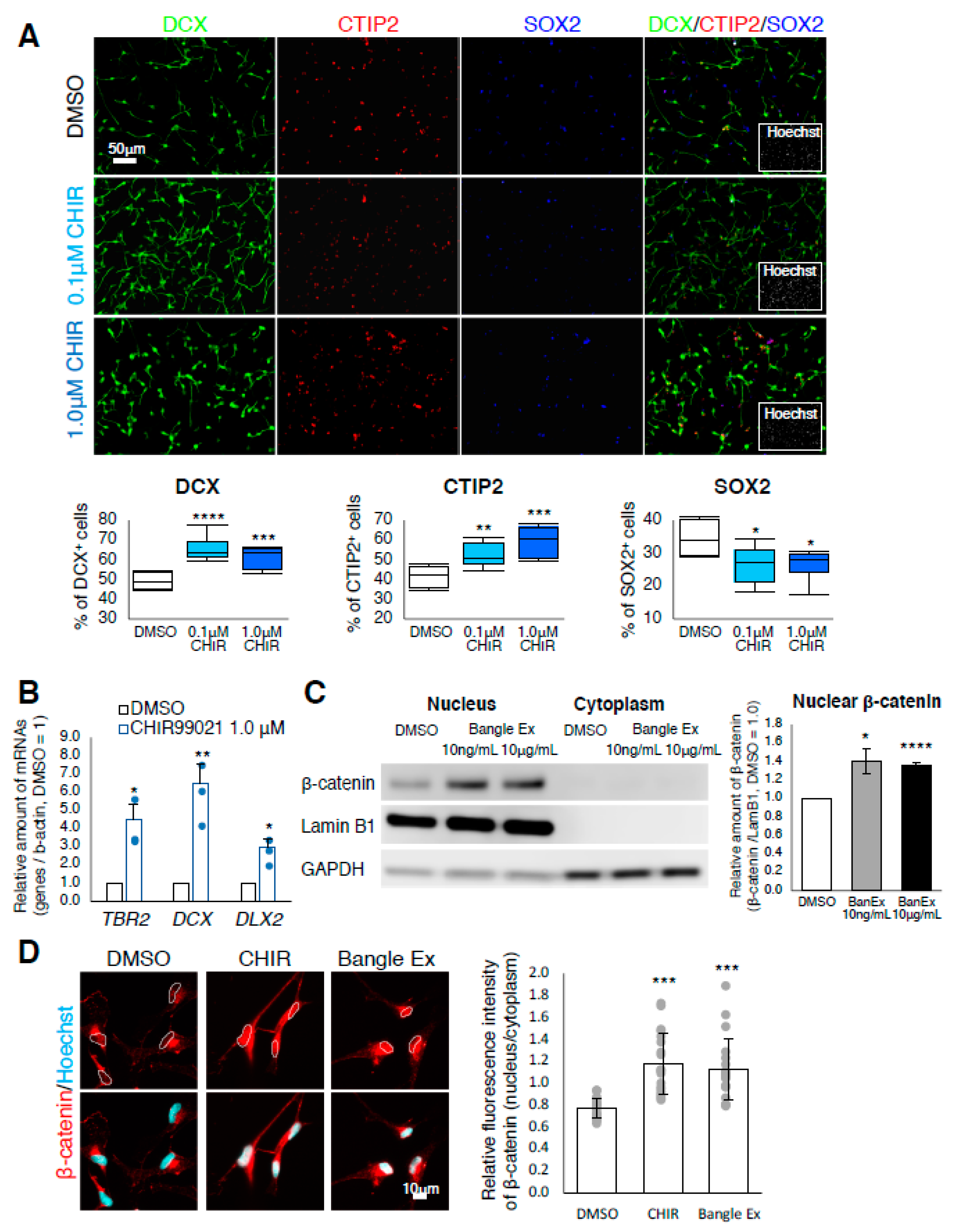 Ijms 21 04772 g003 Ijms 21 04772 g003
