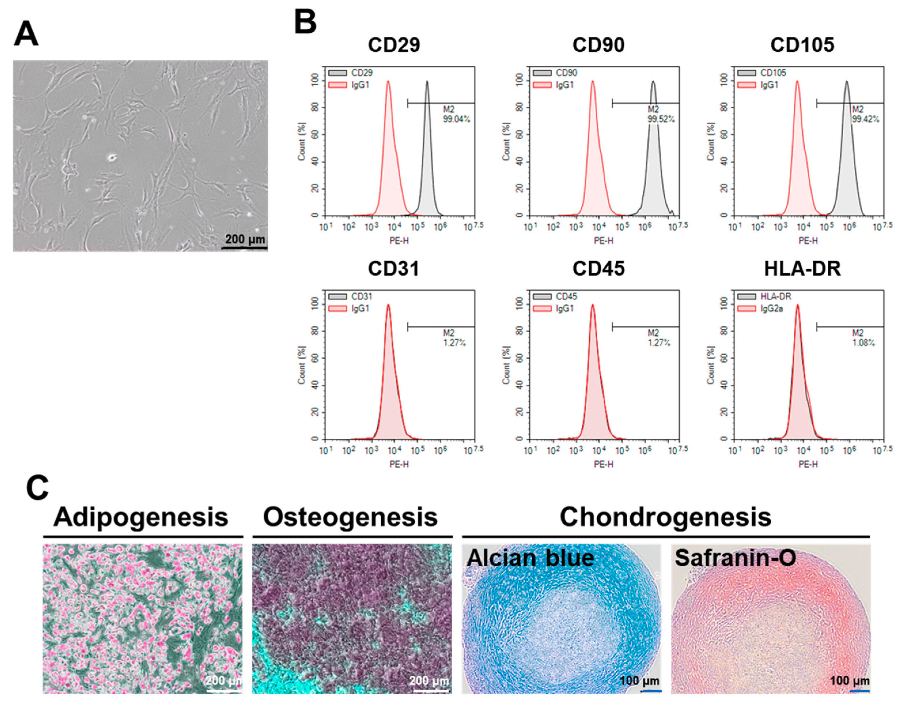 Ijms 21 04774 g001 Ijms 21 04774 g001