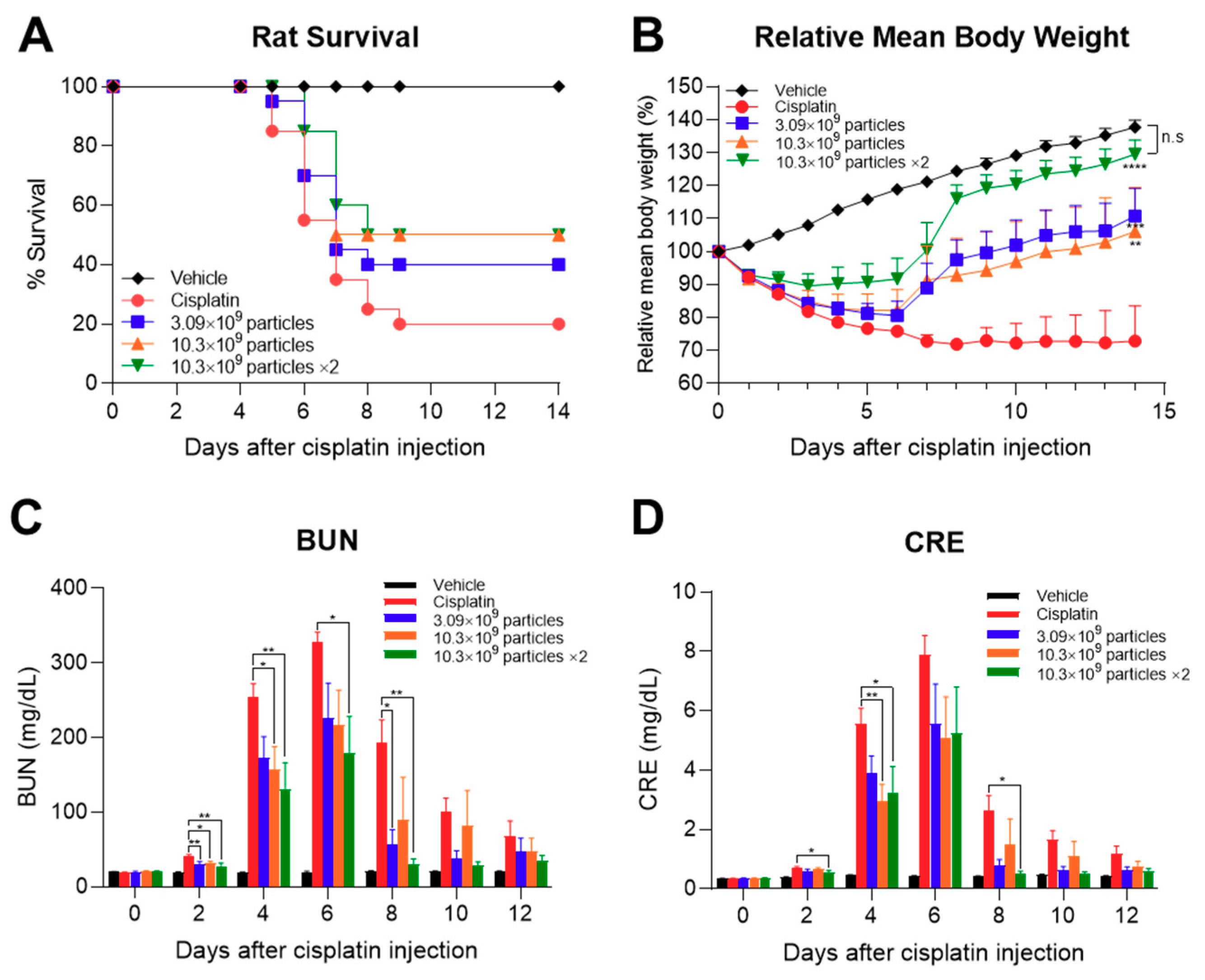 Ijms 21 04774 g006 Ijms 21 04774 g006