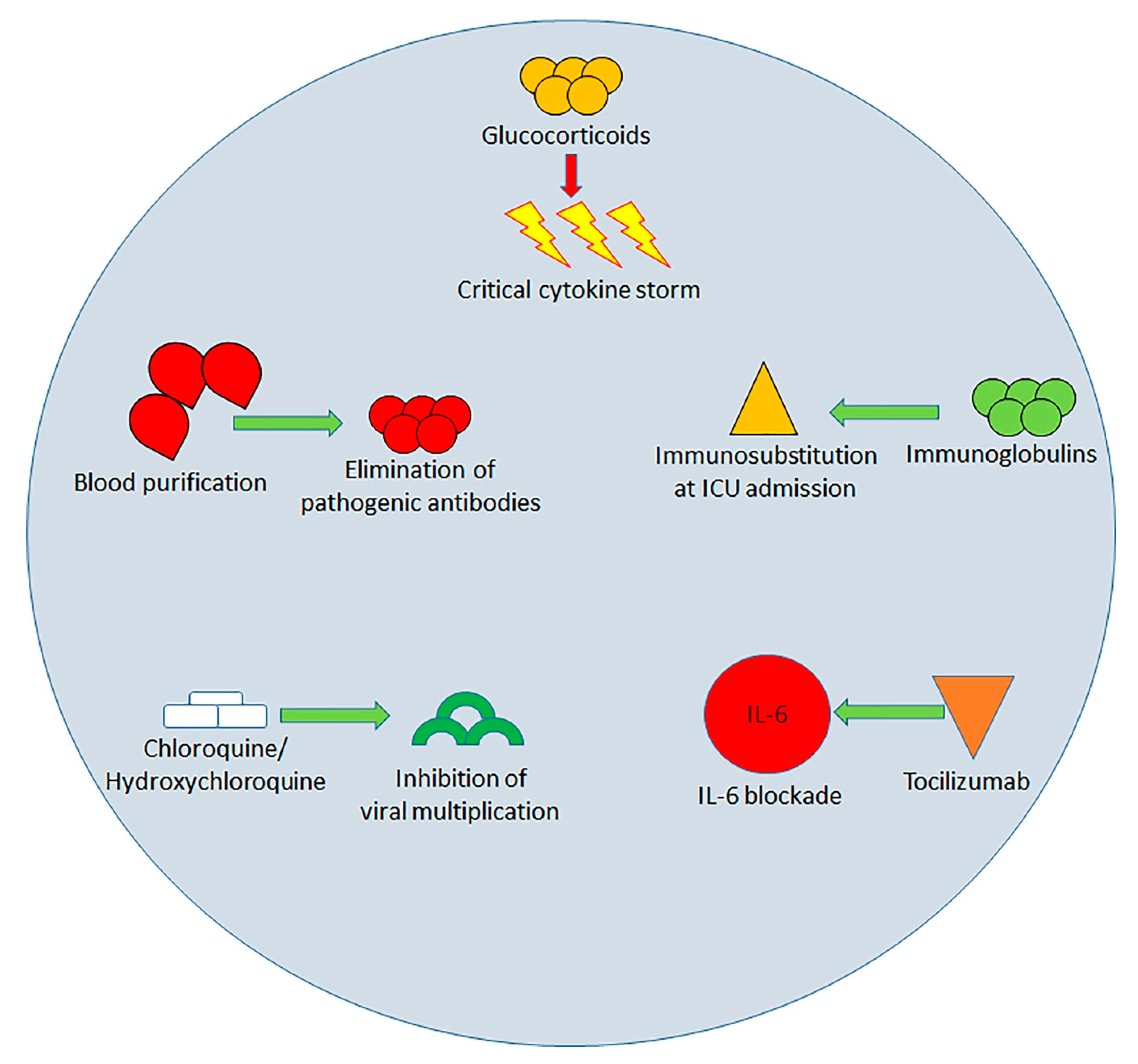 Ijms free full text immunopathology of sars cov 2 infection immune