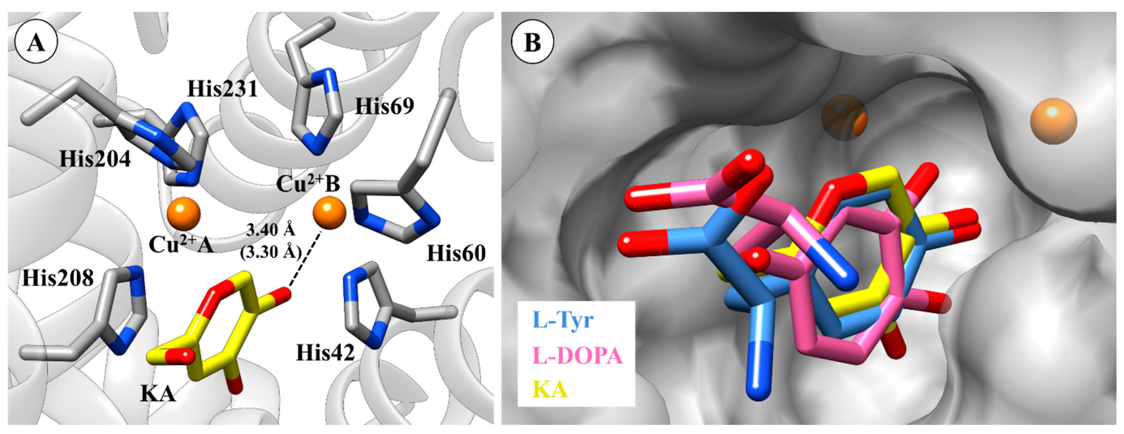 Ijms 21 04783 g004 Ijms 21 04783 g004