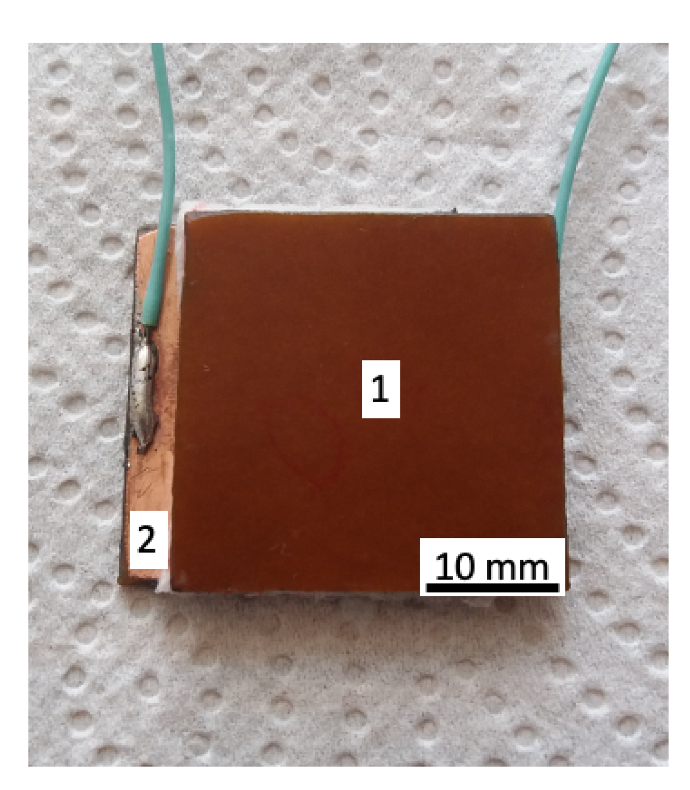 Ijms 21 04785 g002 Ijms 21 04785 g002