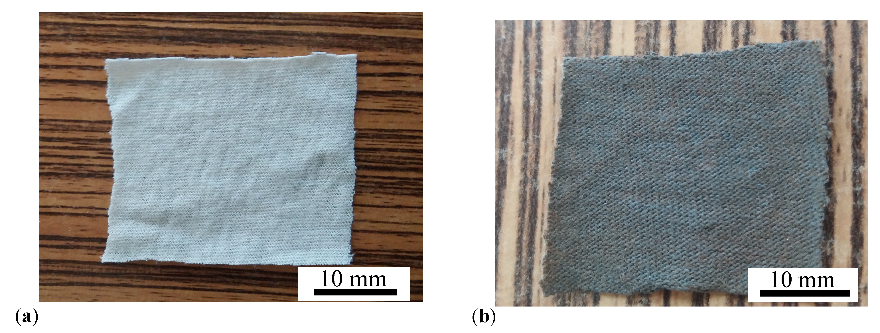 Ijms 21 04785 g012 Ijms 21 04785 g012