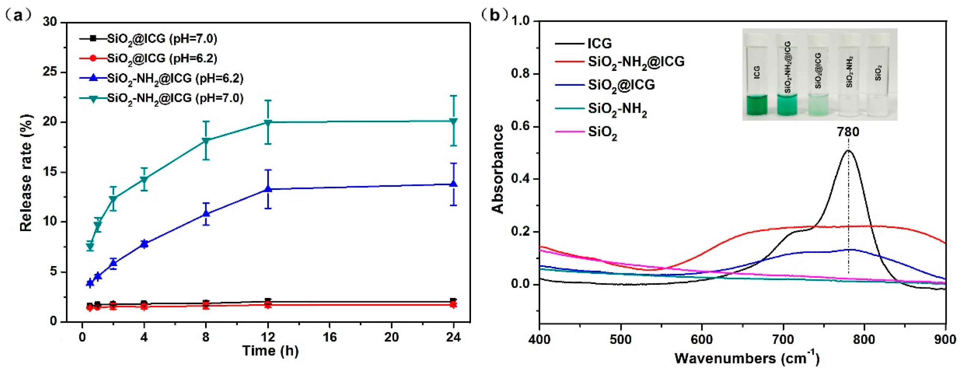 Ijms 21 04789 g004 Ijms 21 04789 g004