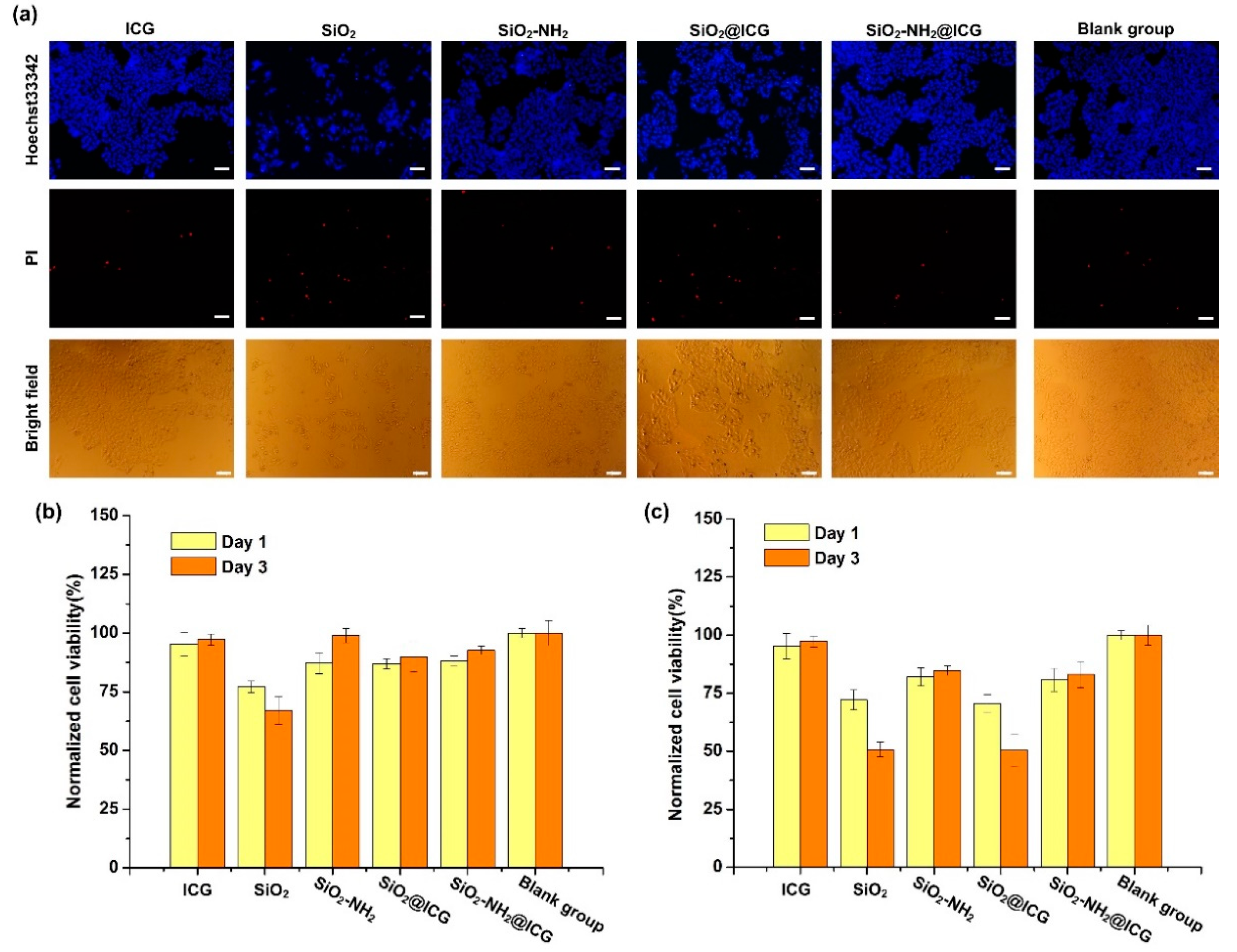 Ijms 21 04789 g006 Ijms 21 04789 g006