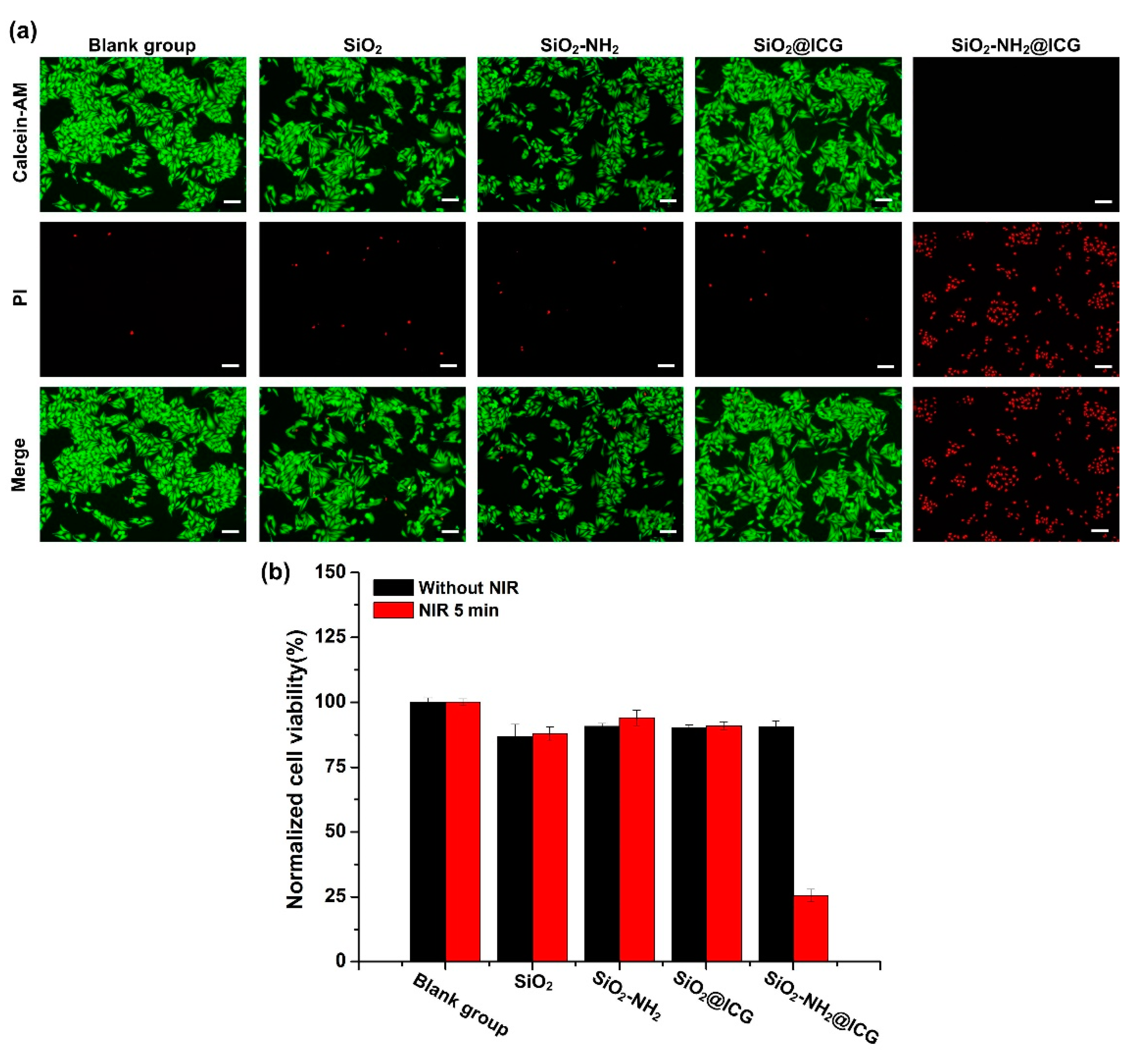 Ijms 21 04789 g007 Ijms 21 04789 g007